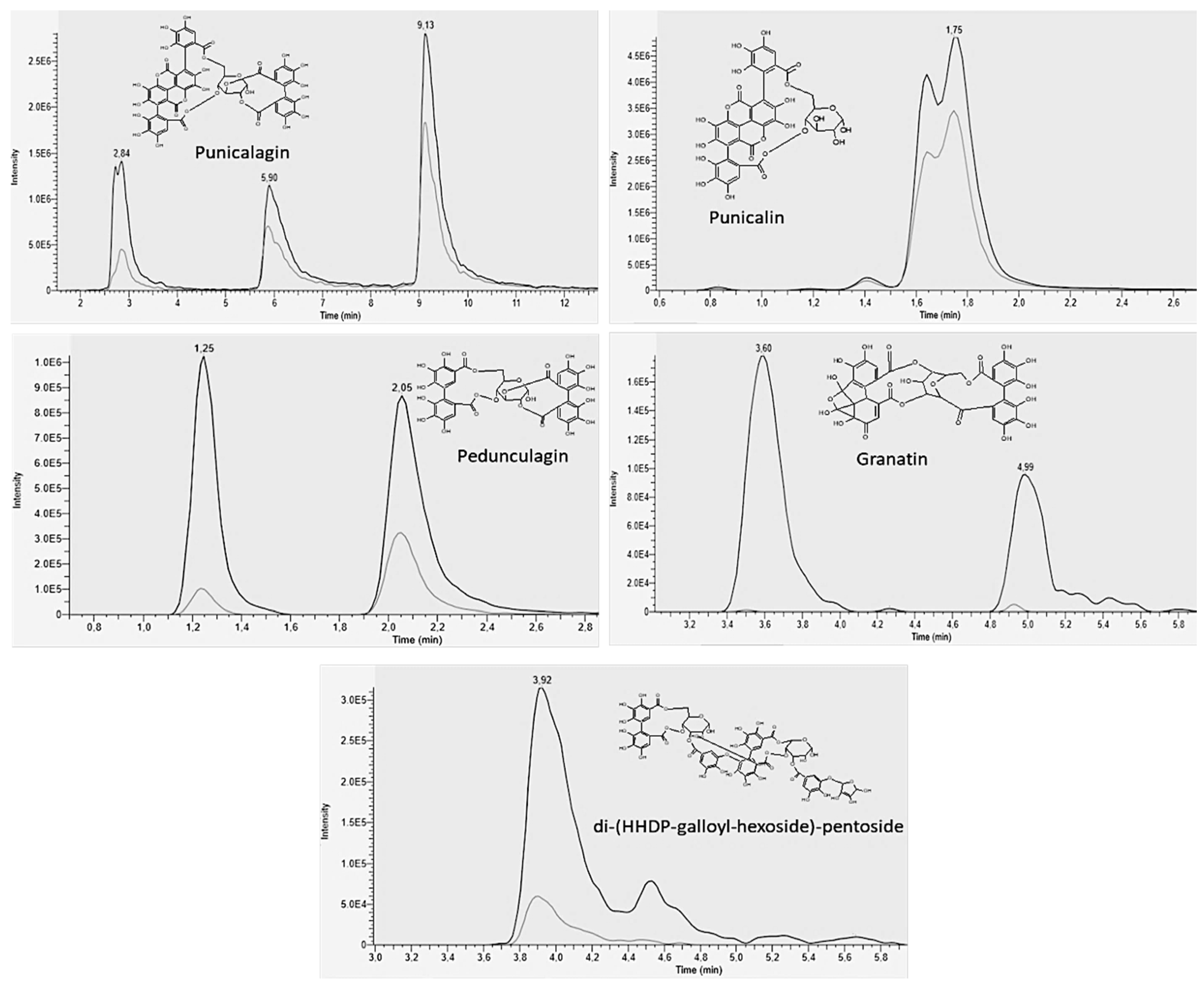Microorganisms 10 02500 g002
