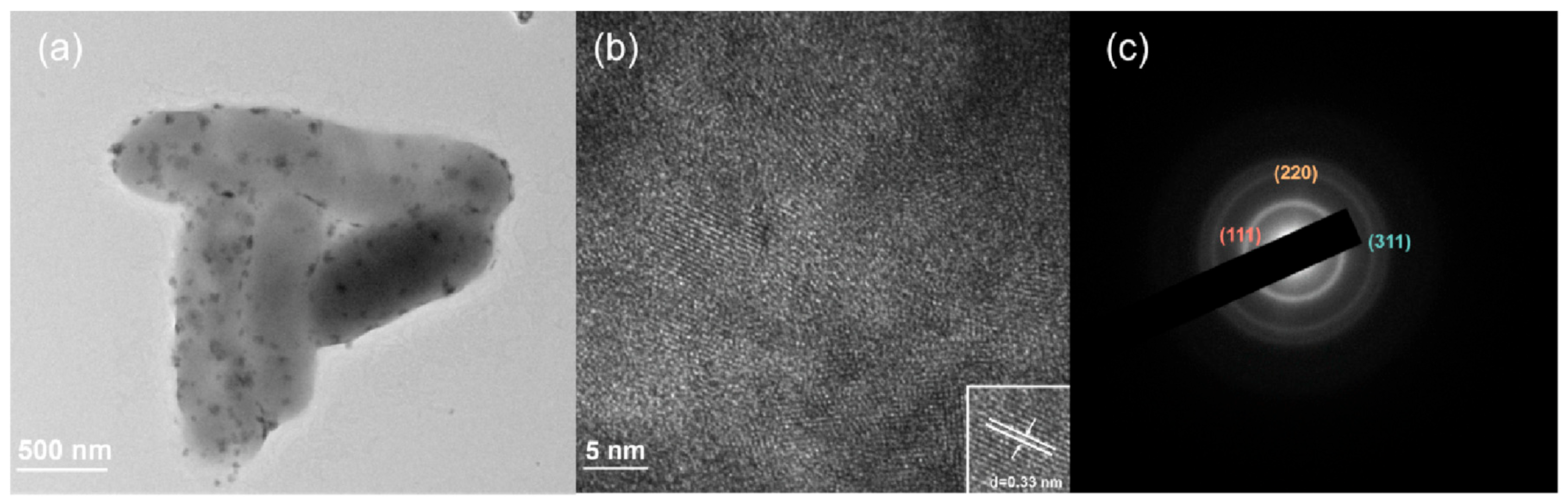 Microorganisms 10 02501 g002 Microorganisms 10 02501 g002