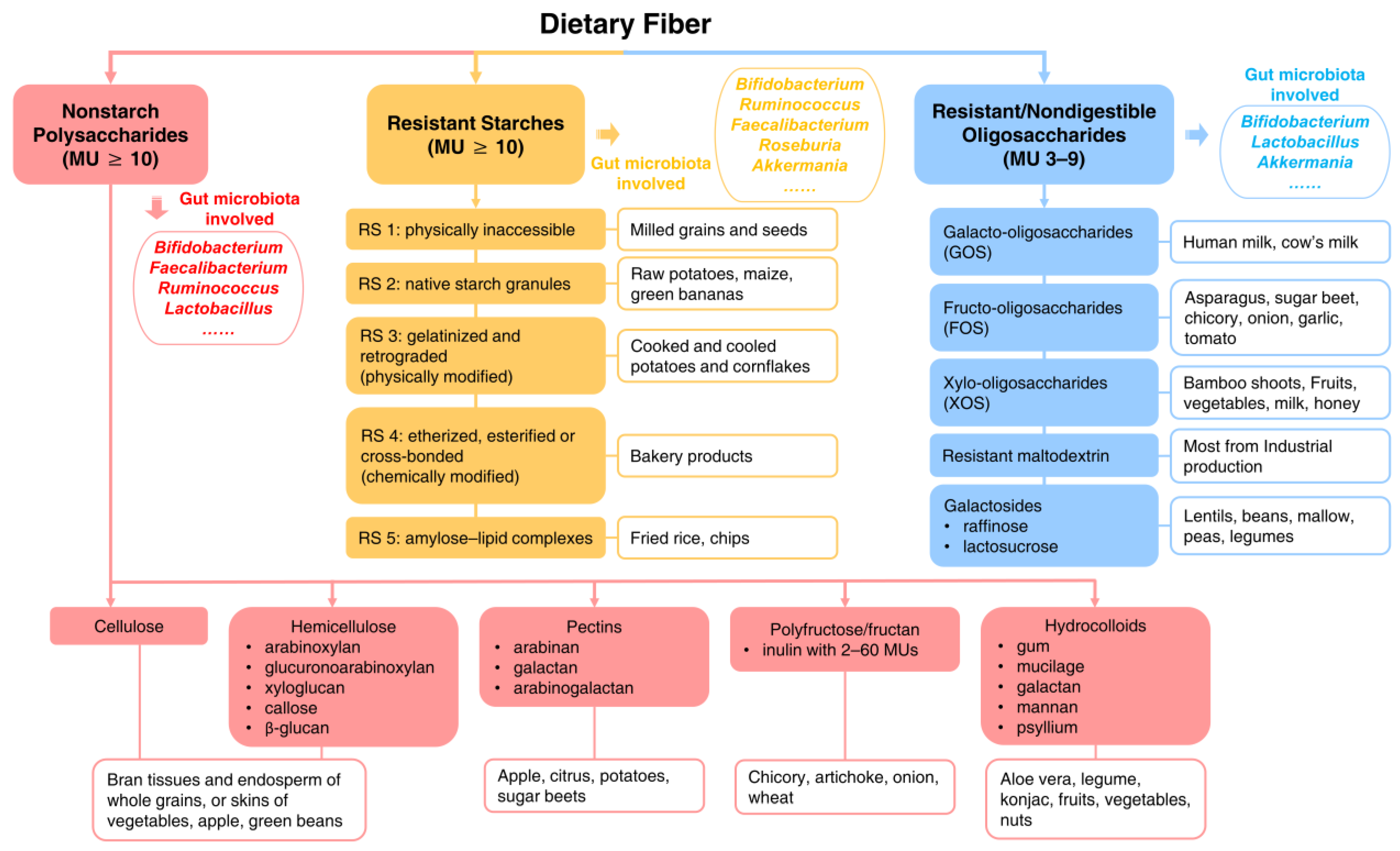 Microorganisms 10 02507 g001