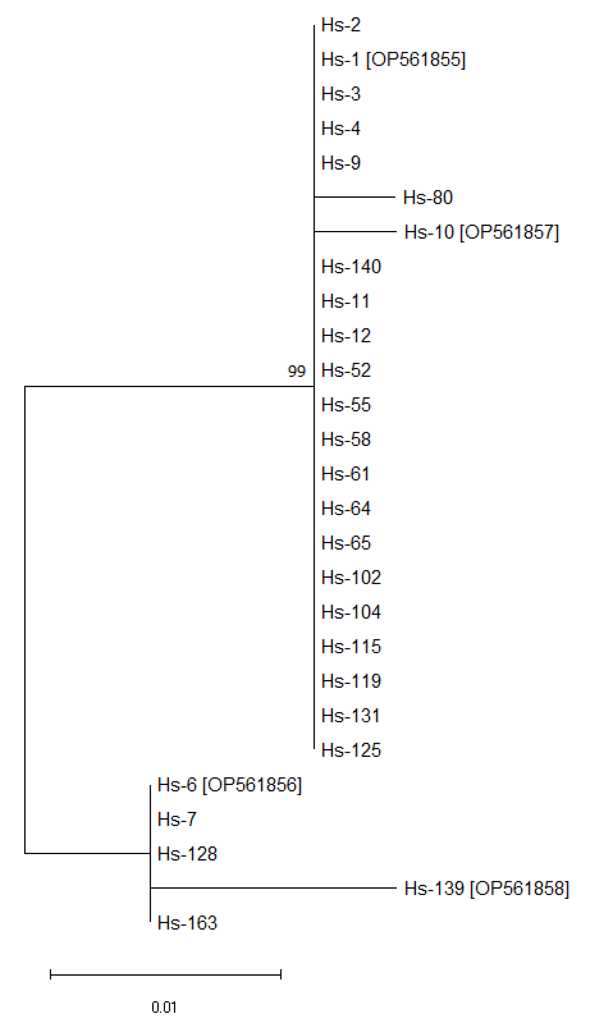 Microorganisms 10 02509 g001 Microorganisms 10 02509 g001