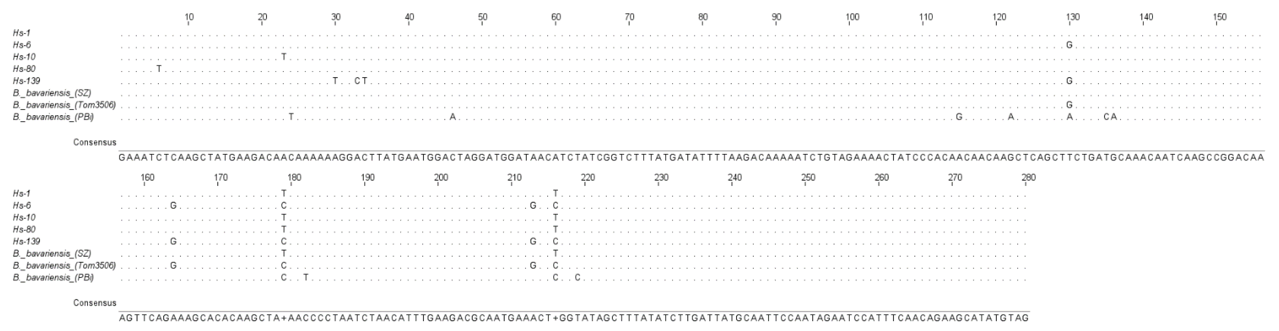 Microorganisms 10 02509 g002 Microorganisms 10 02509 g002