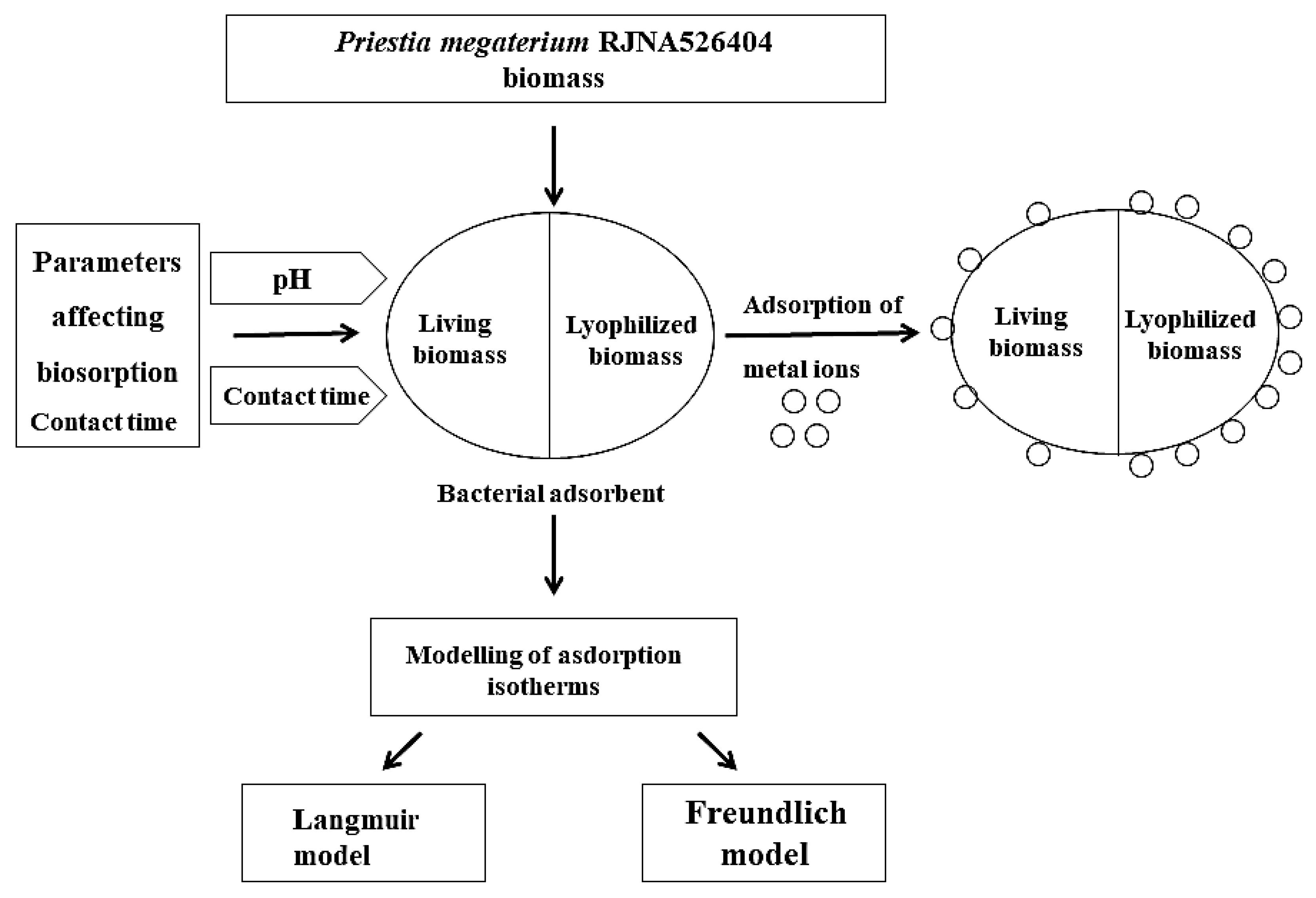 Microorganisms 10 02510 g008