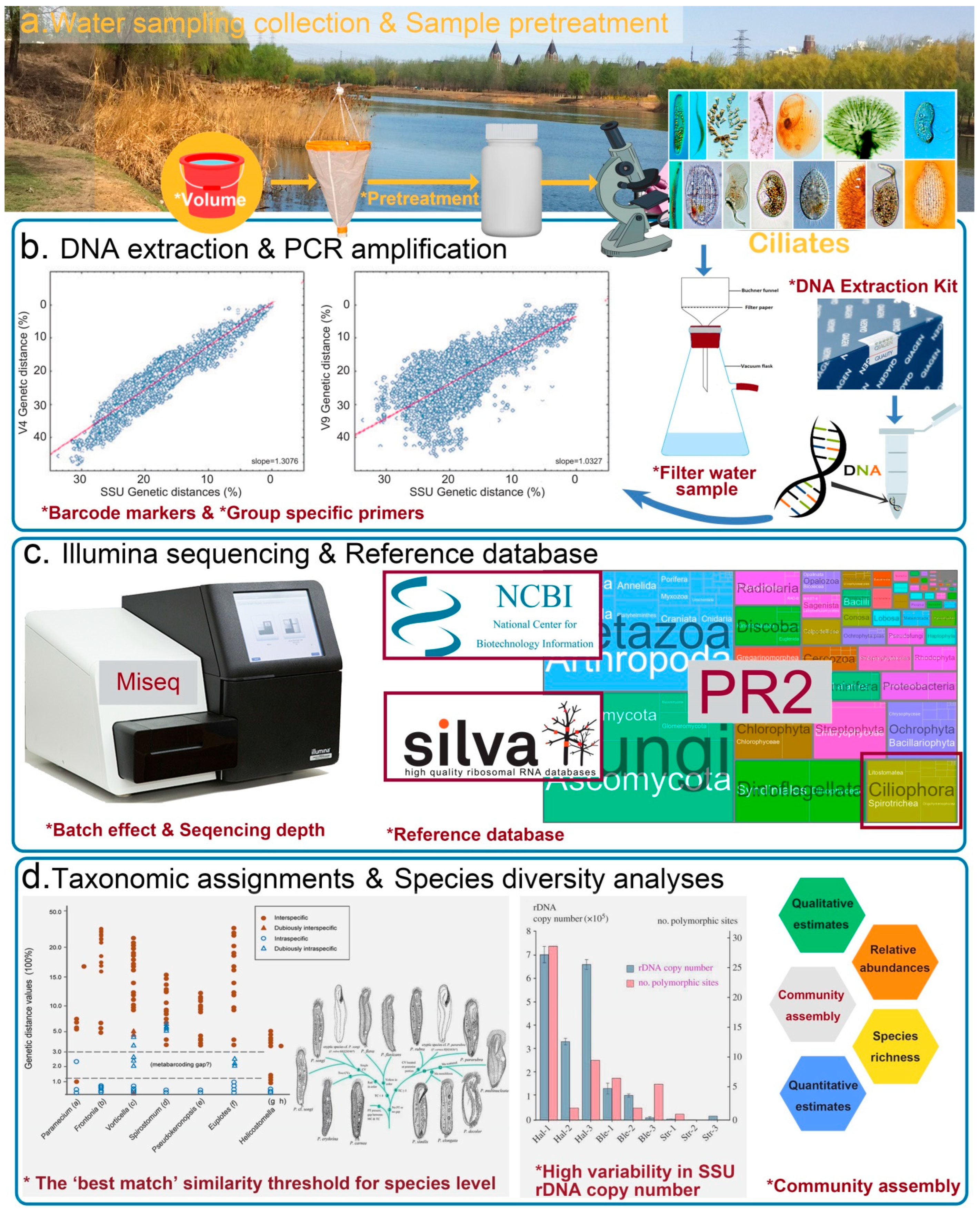 Microorganisms 10 02512 g001 Microorganisms 10 02512 g001