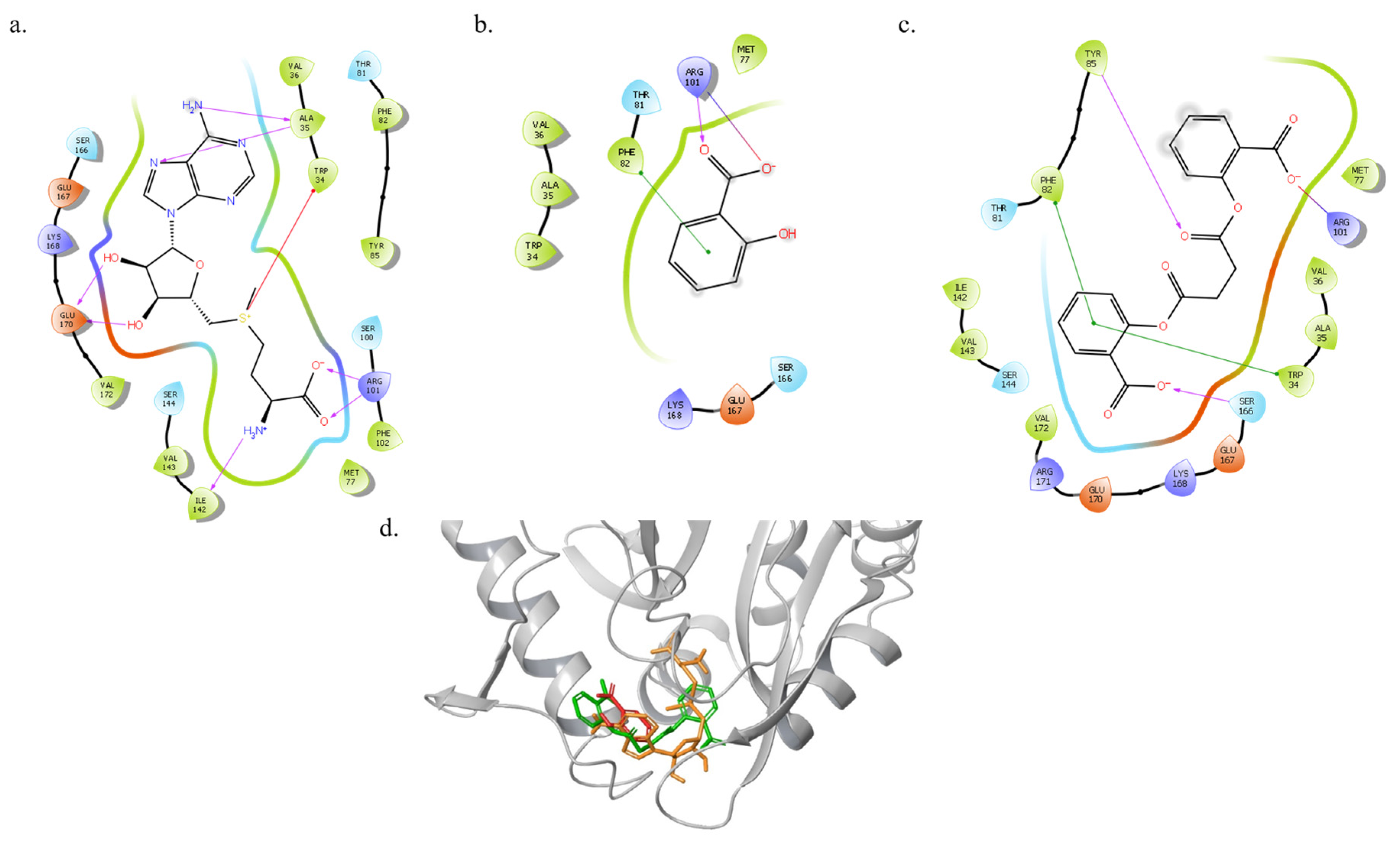 Microorganisms 10 02516 g002