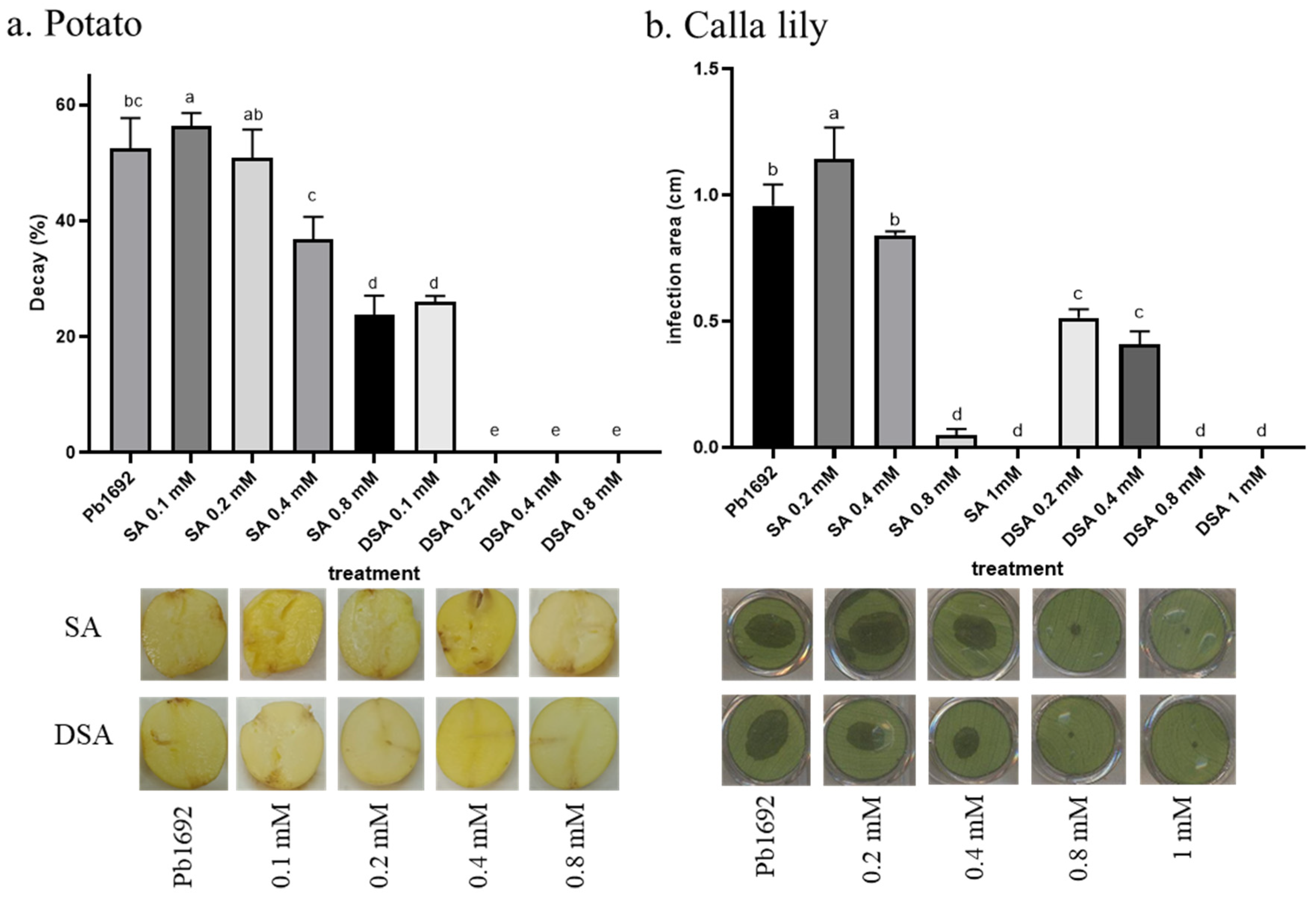 Microorganisms 10 02516 g008