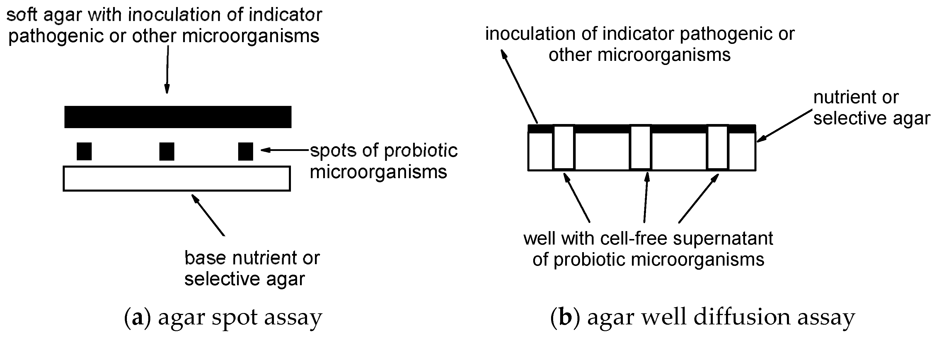 Microorganisms 10 02518 g001