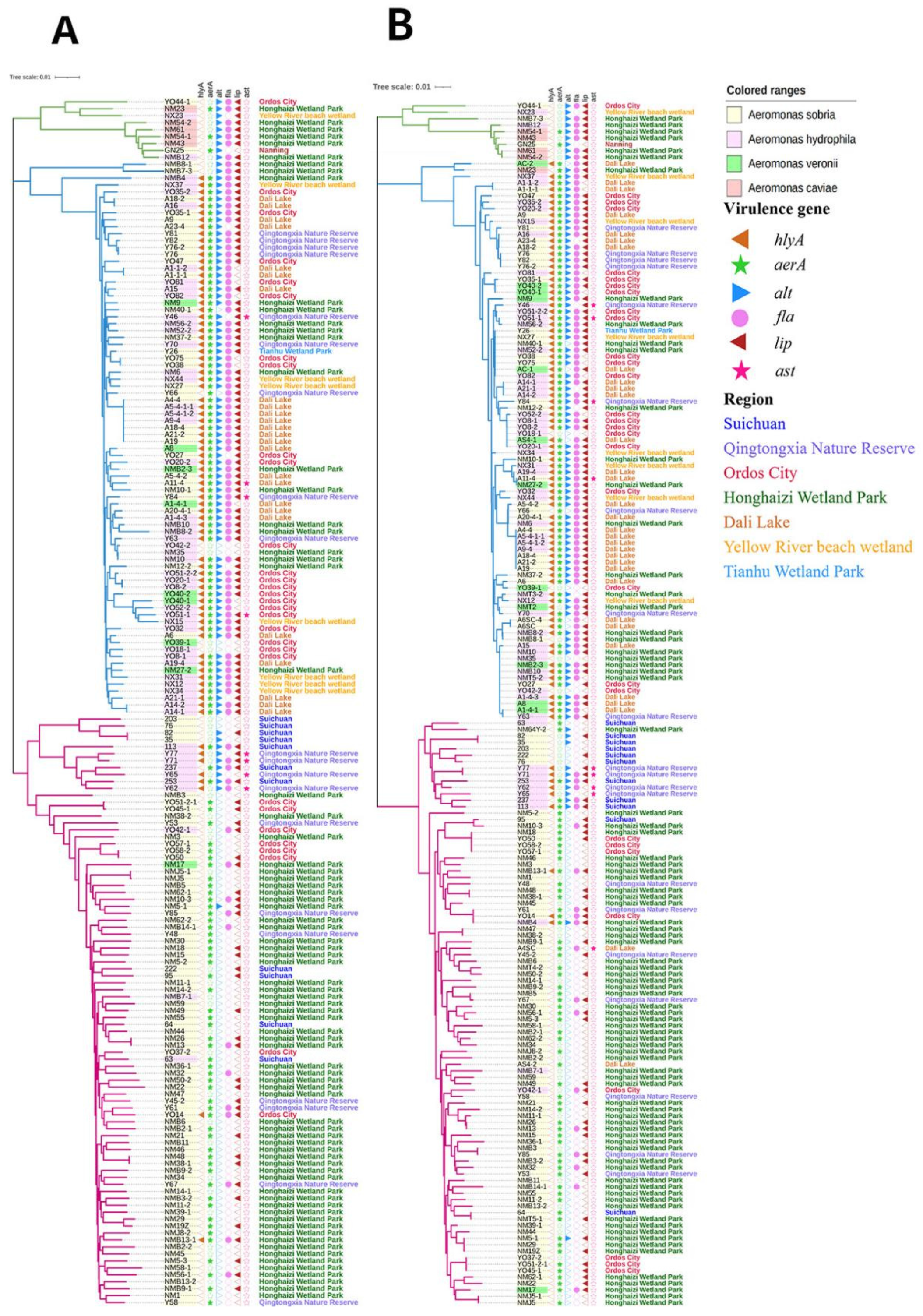 Microorganisms 11 00007 g003 Microorganisms 11 00007 g003