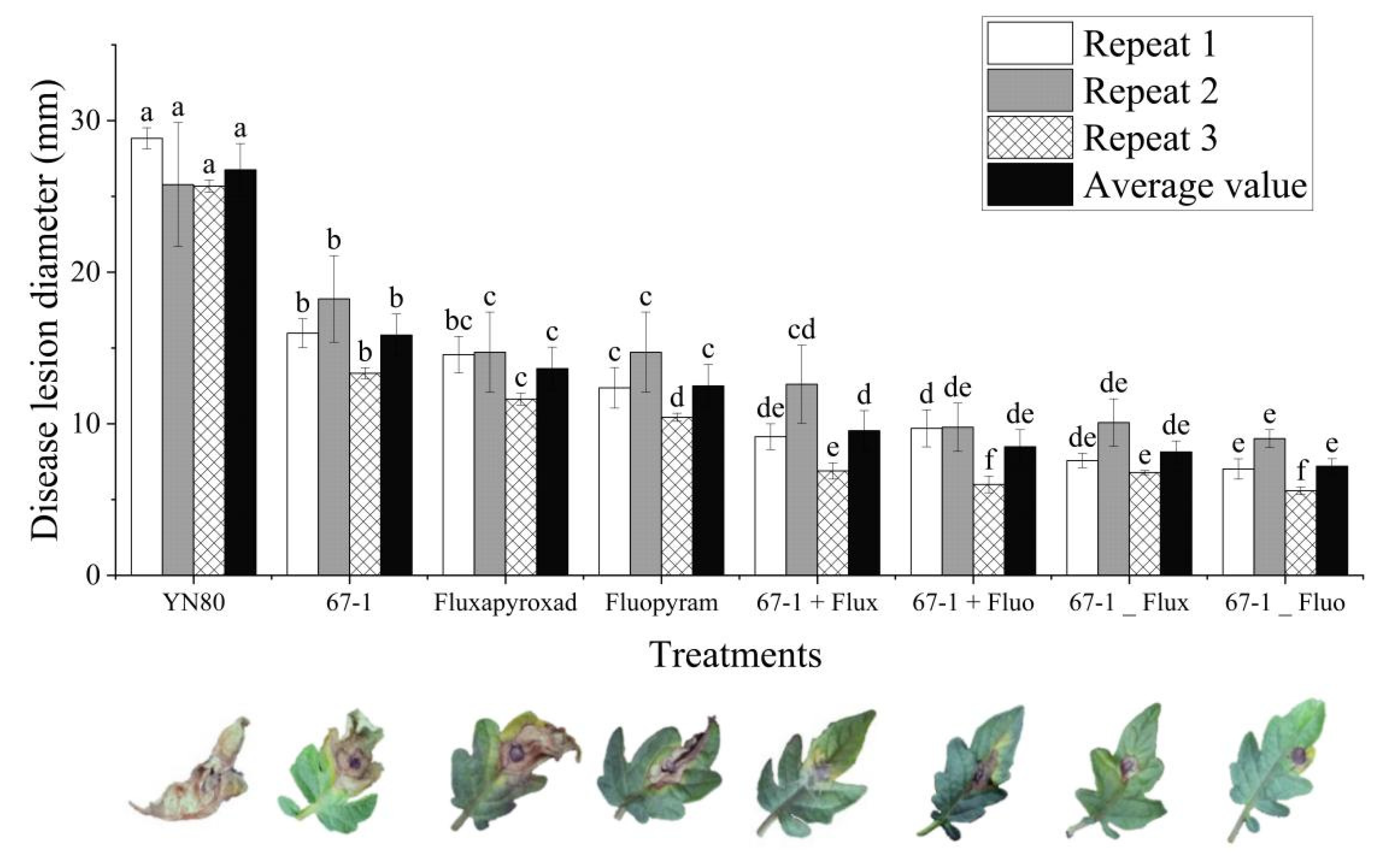 Microorganisms 11 00020 g003