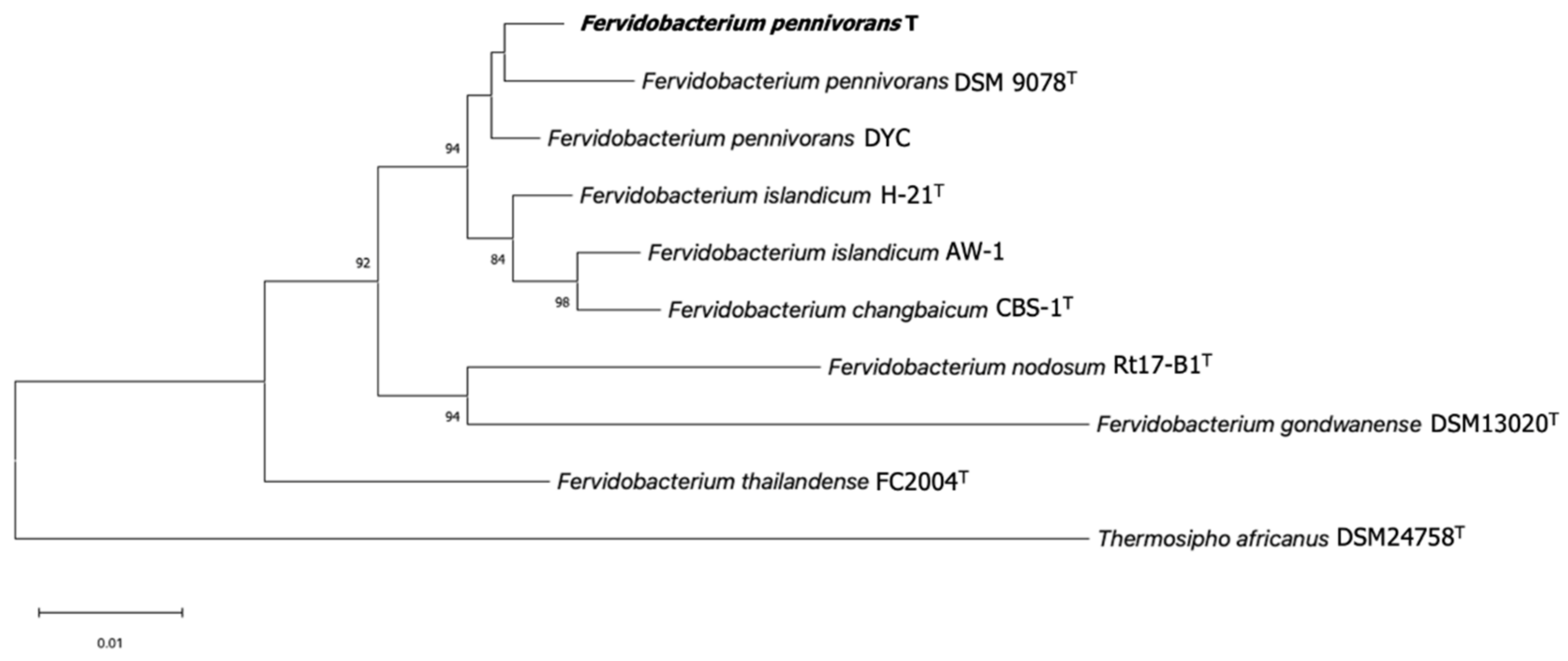 Microorganisms 11 00022 g002