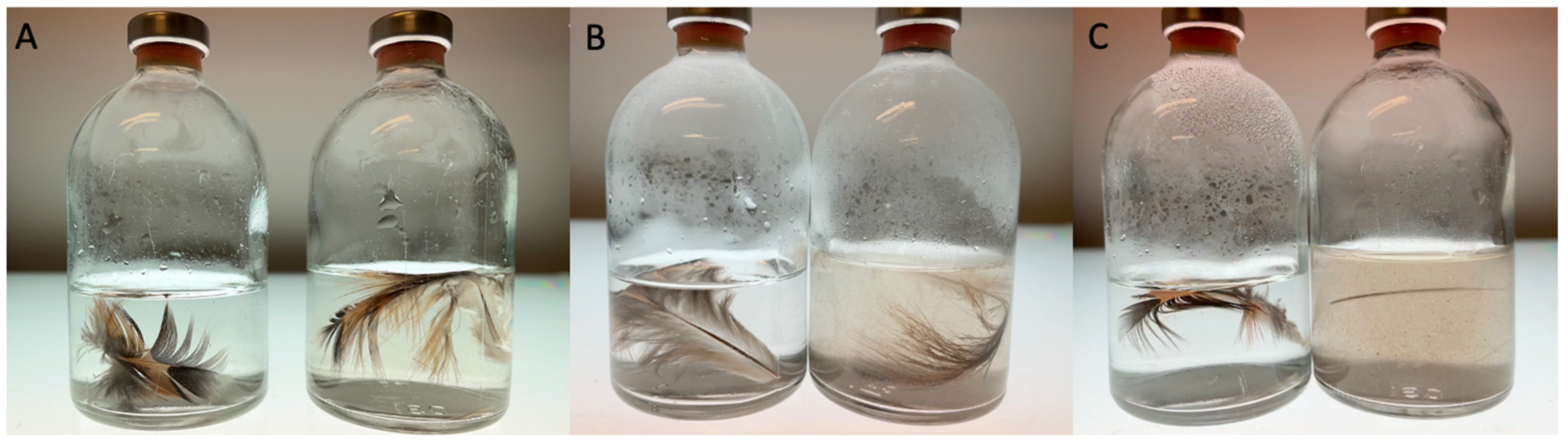 Microorganisms 11 00022 g003
