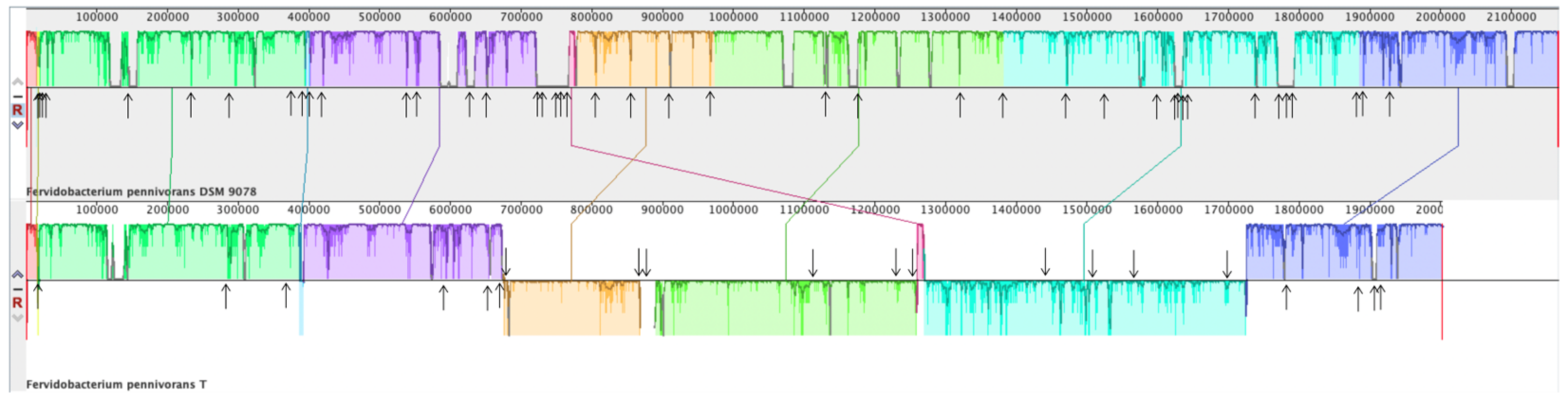 Microorganisms 11 00022 g007