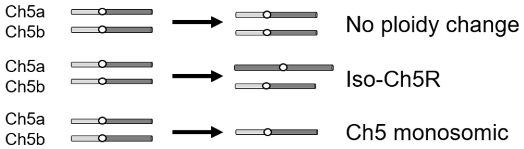 Microorganisms 11 00023 g001