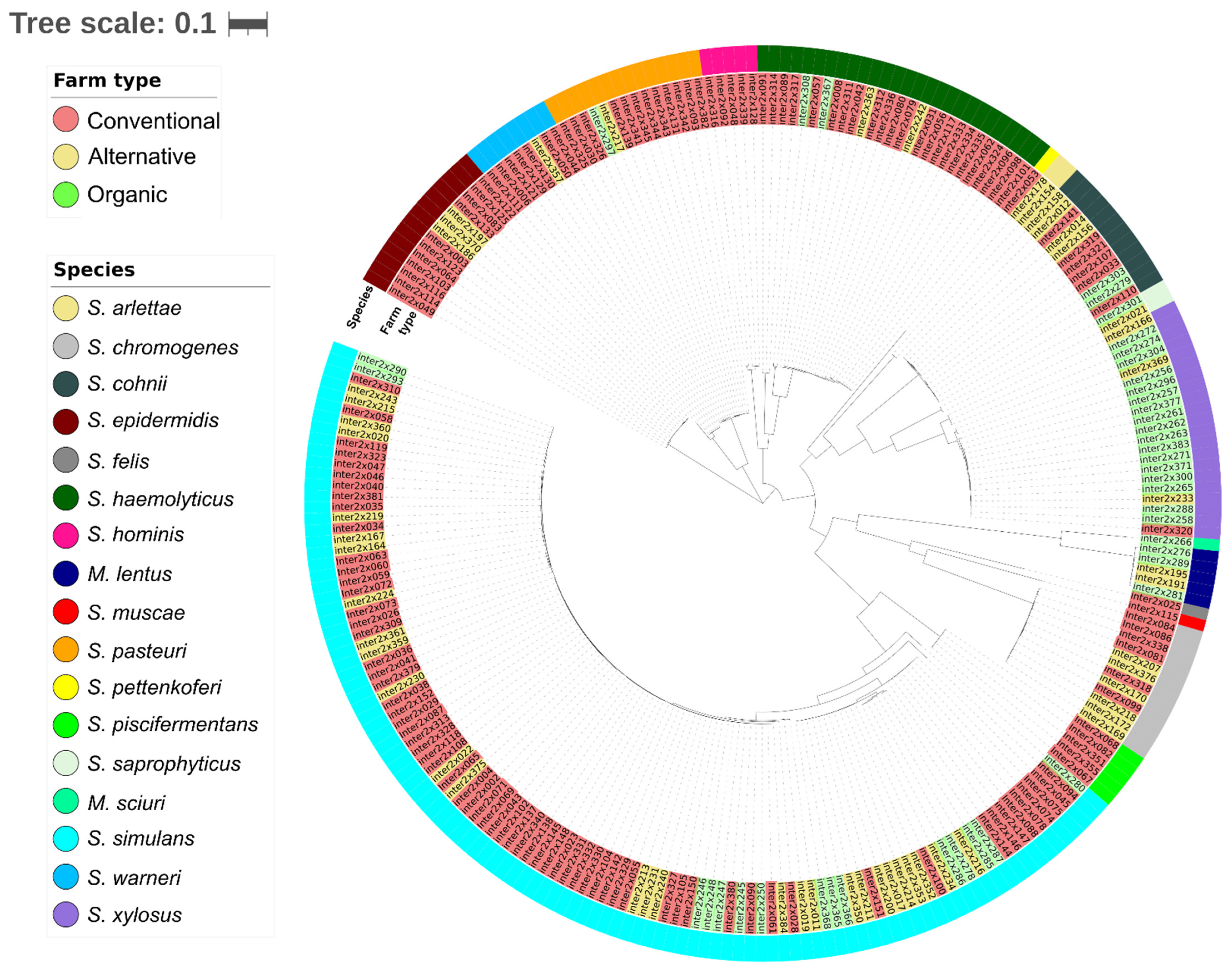 Microorganisms 11 00031 g003