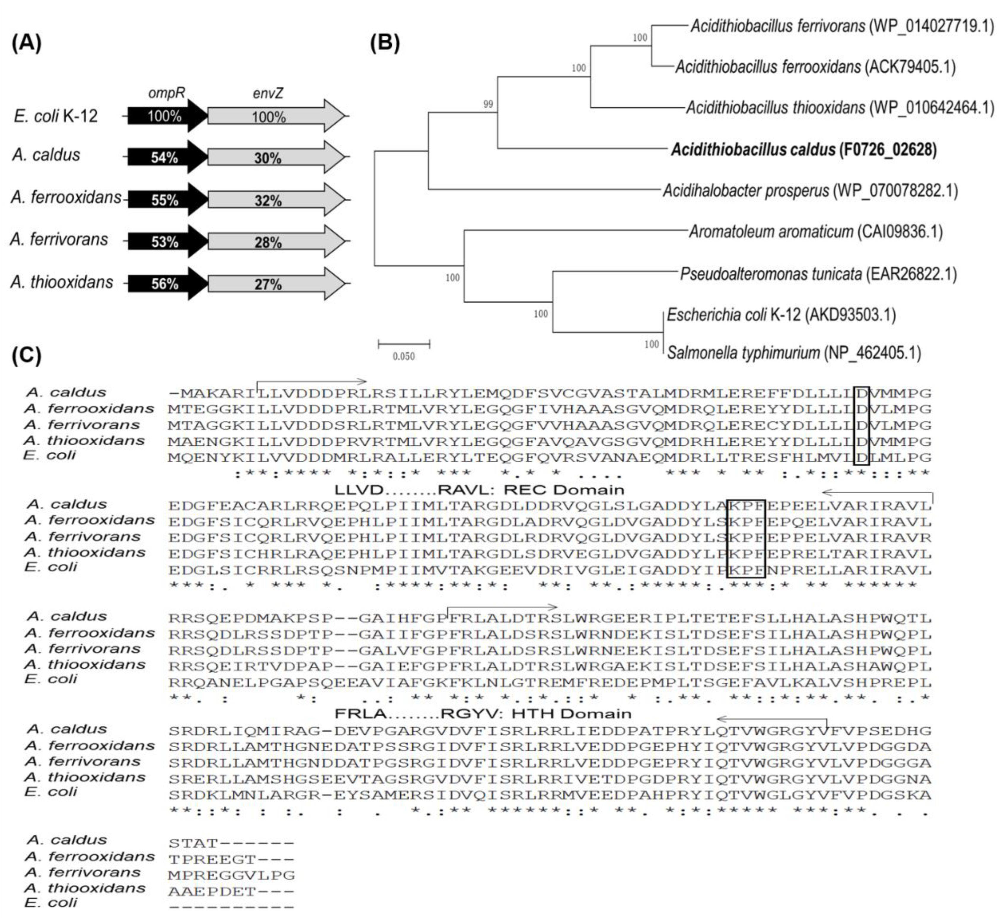 Microorganisms 11 00035 g001