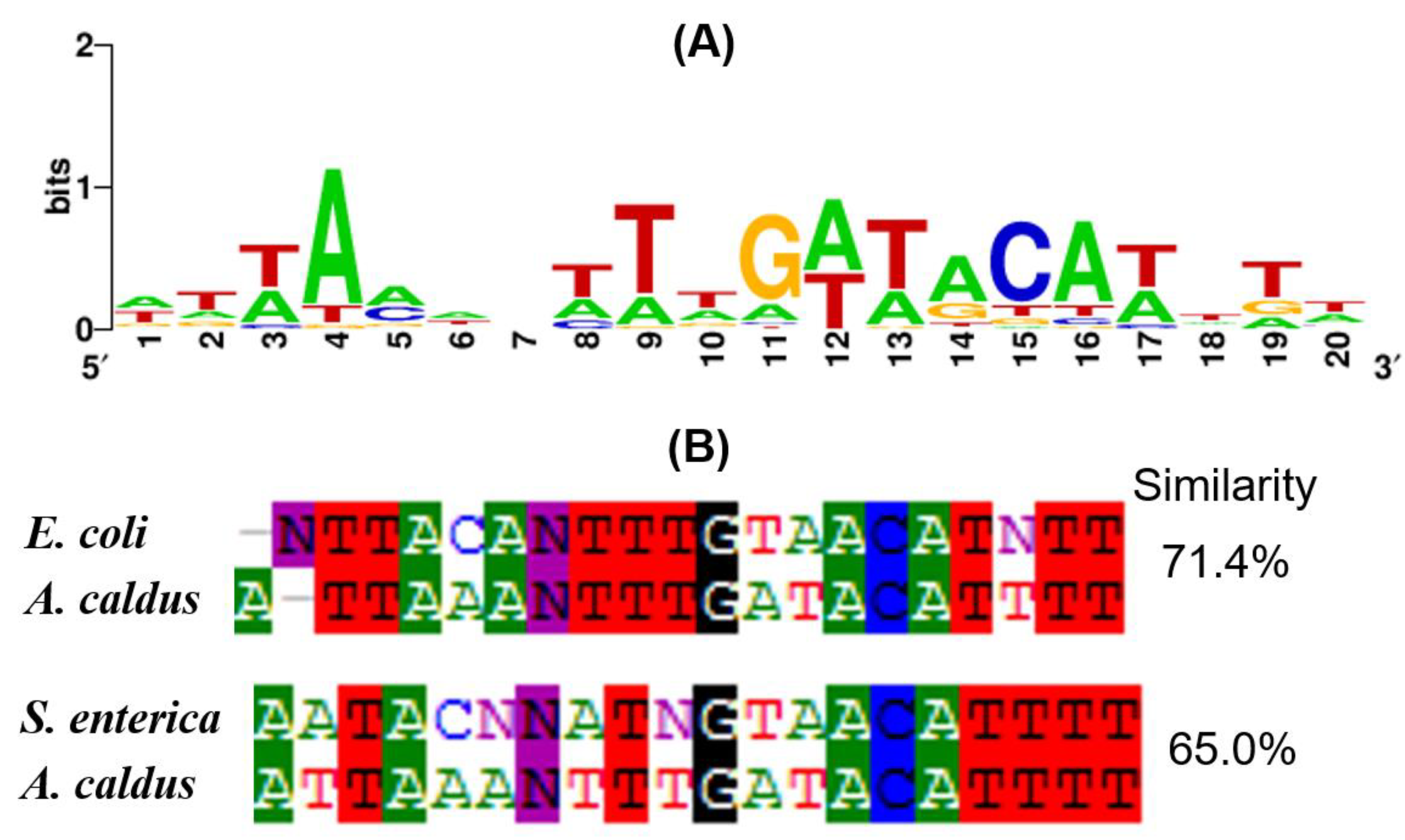 Microorganisms 11 00035 g005
