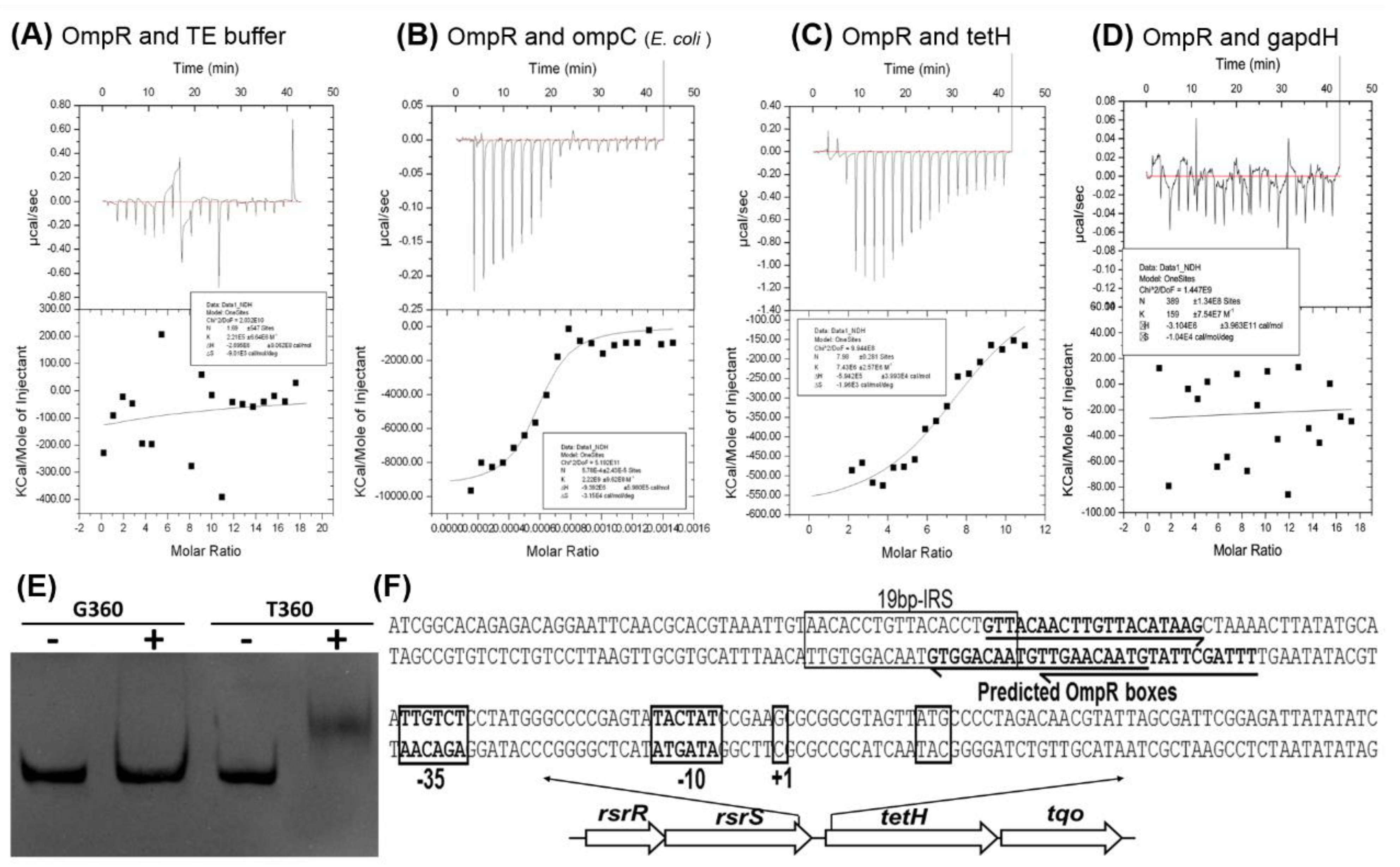 Microorganisms 11 00035 g006