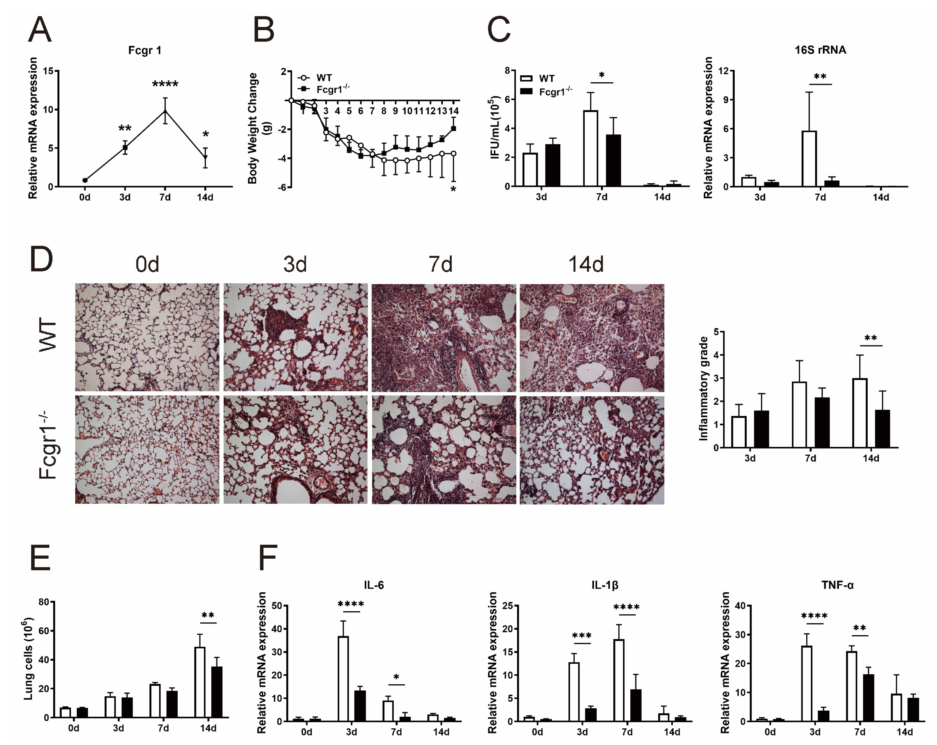Microorganisms 11 00039 g001