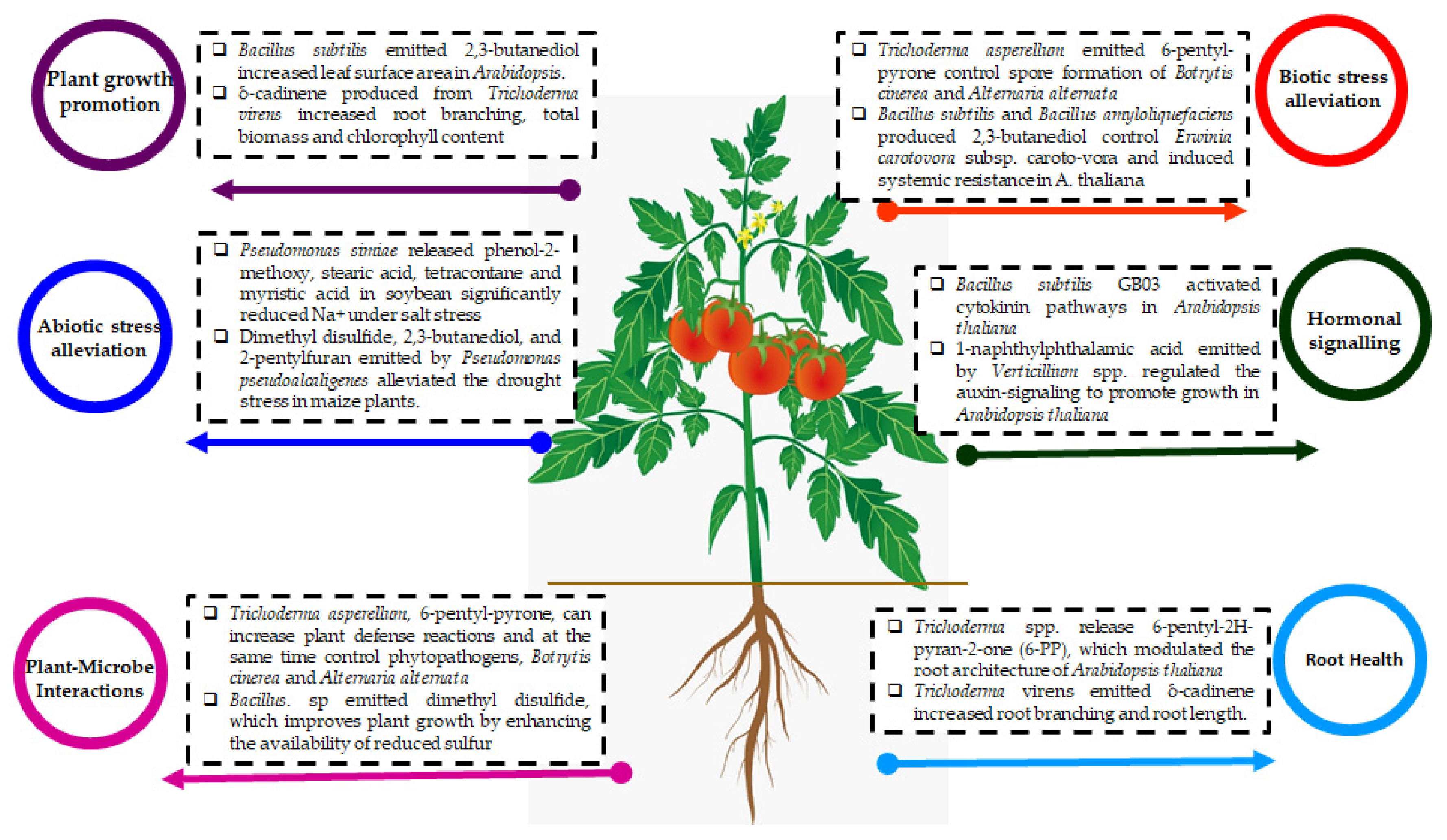 Microorganisms 11 00042 g001