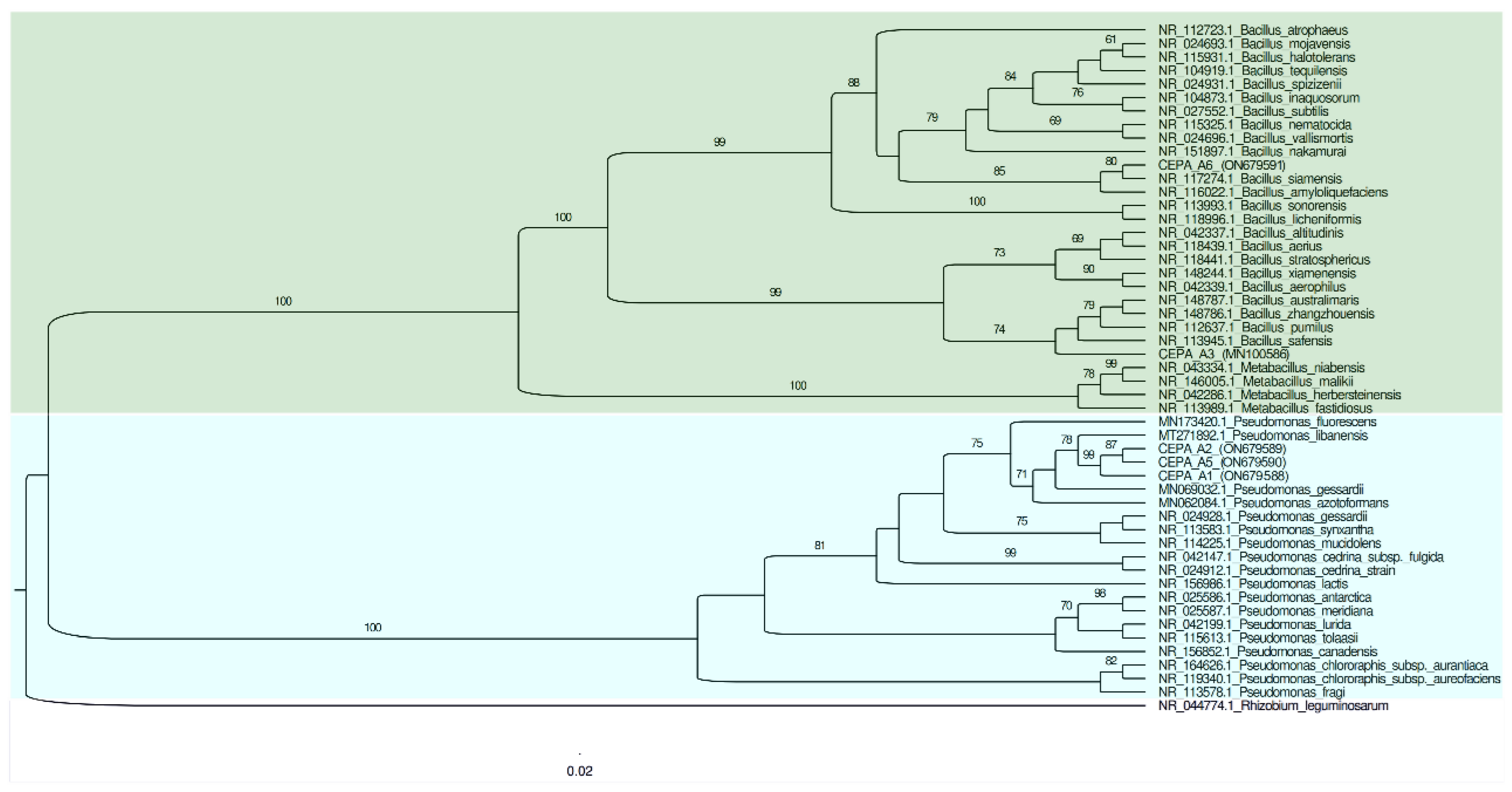 Microorganisms 11 00049 g002