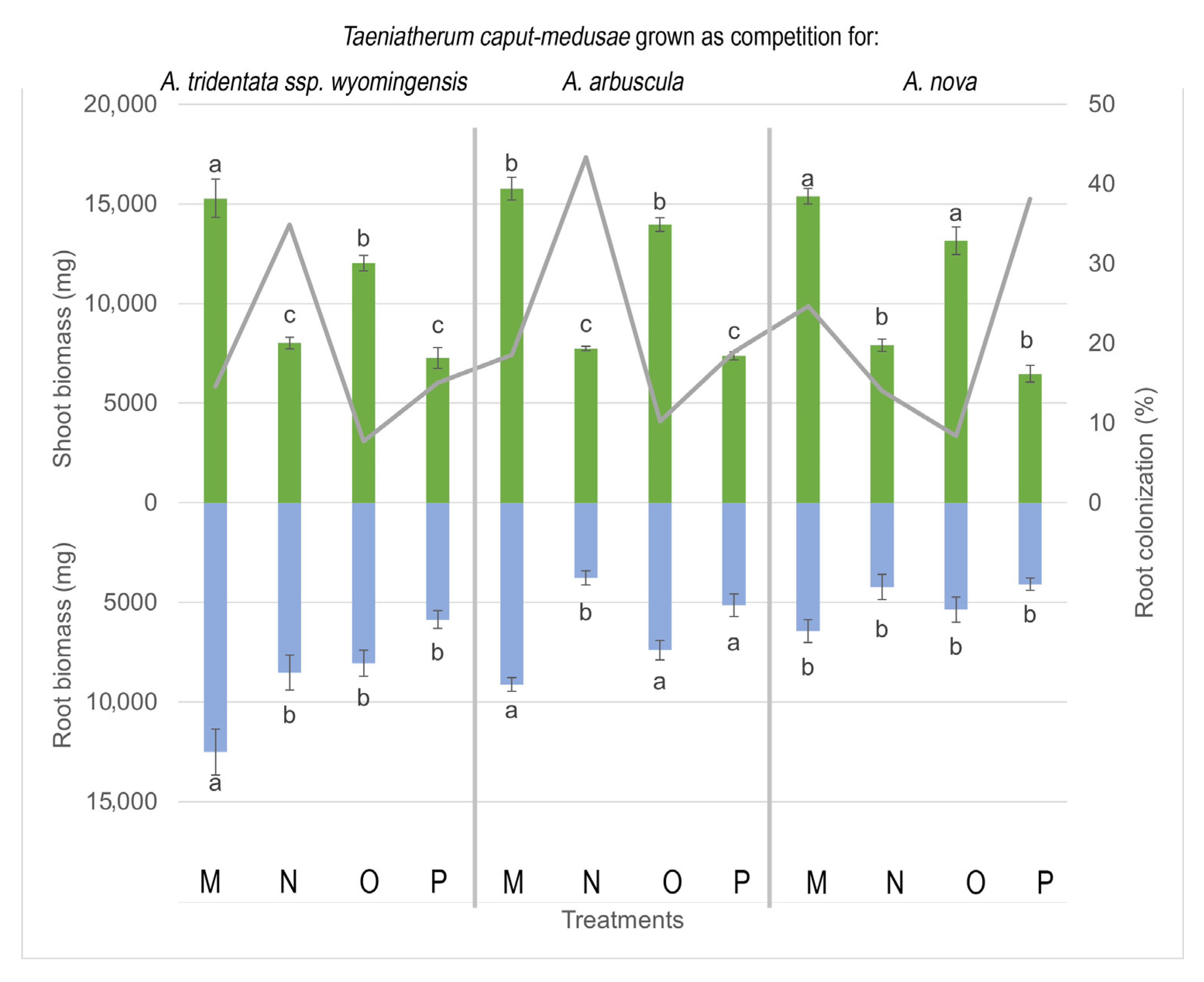 Microorganisms 11 00050 g004 Microorganisms 11 00050 g004