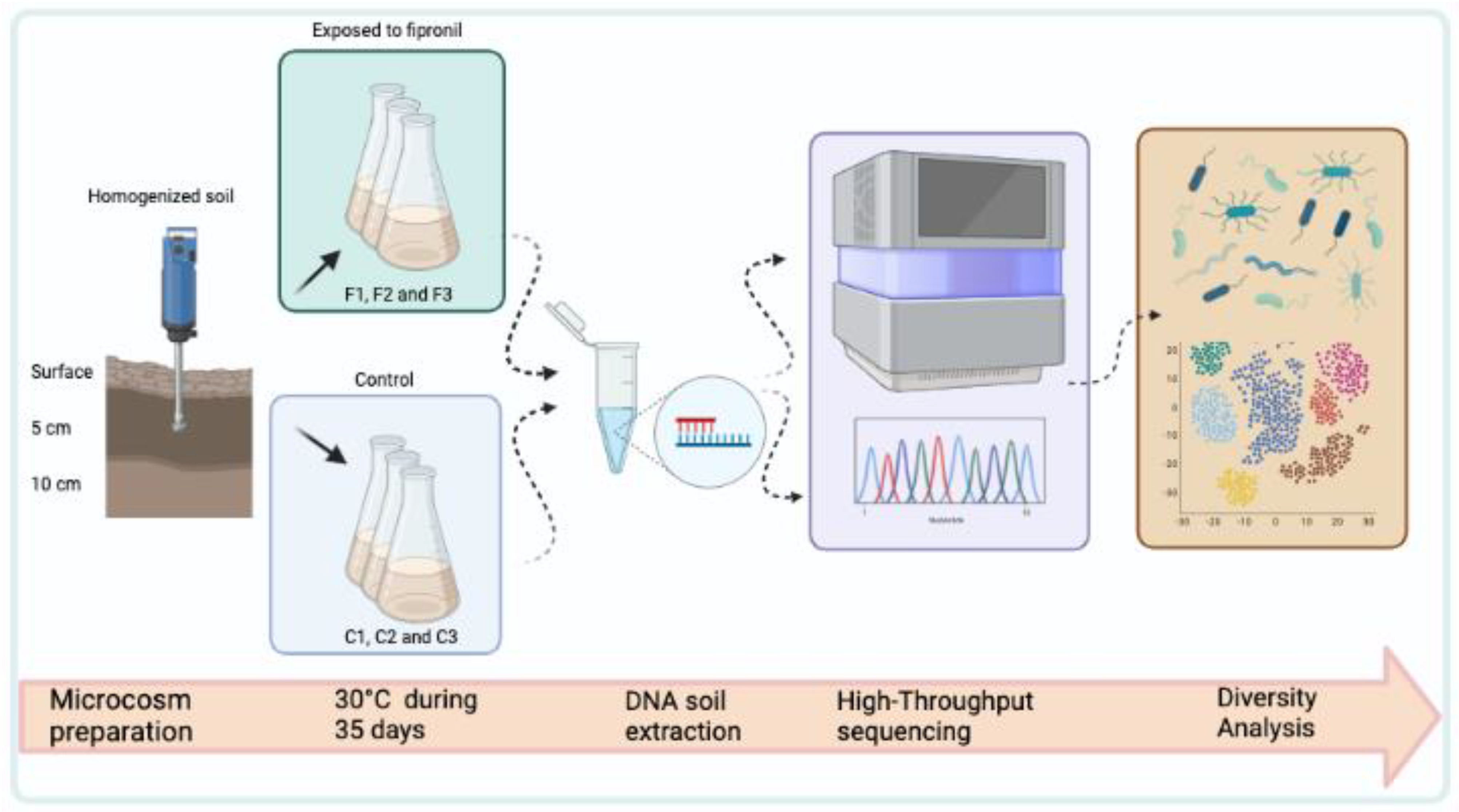 Microorganisms 11 00052 g001