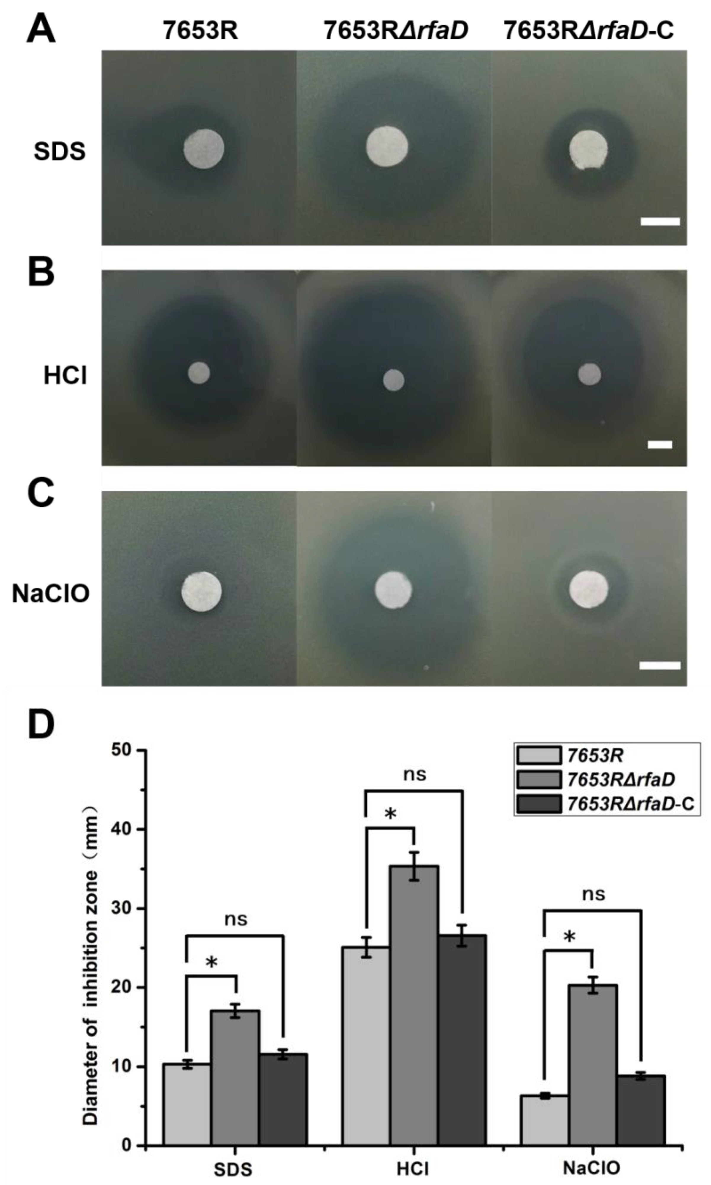 Microorganisms 11 00059 g003