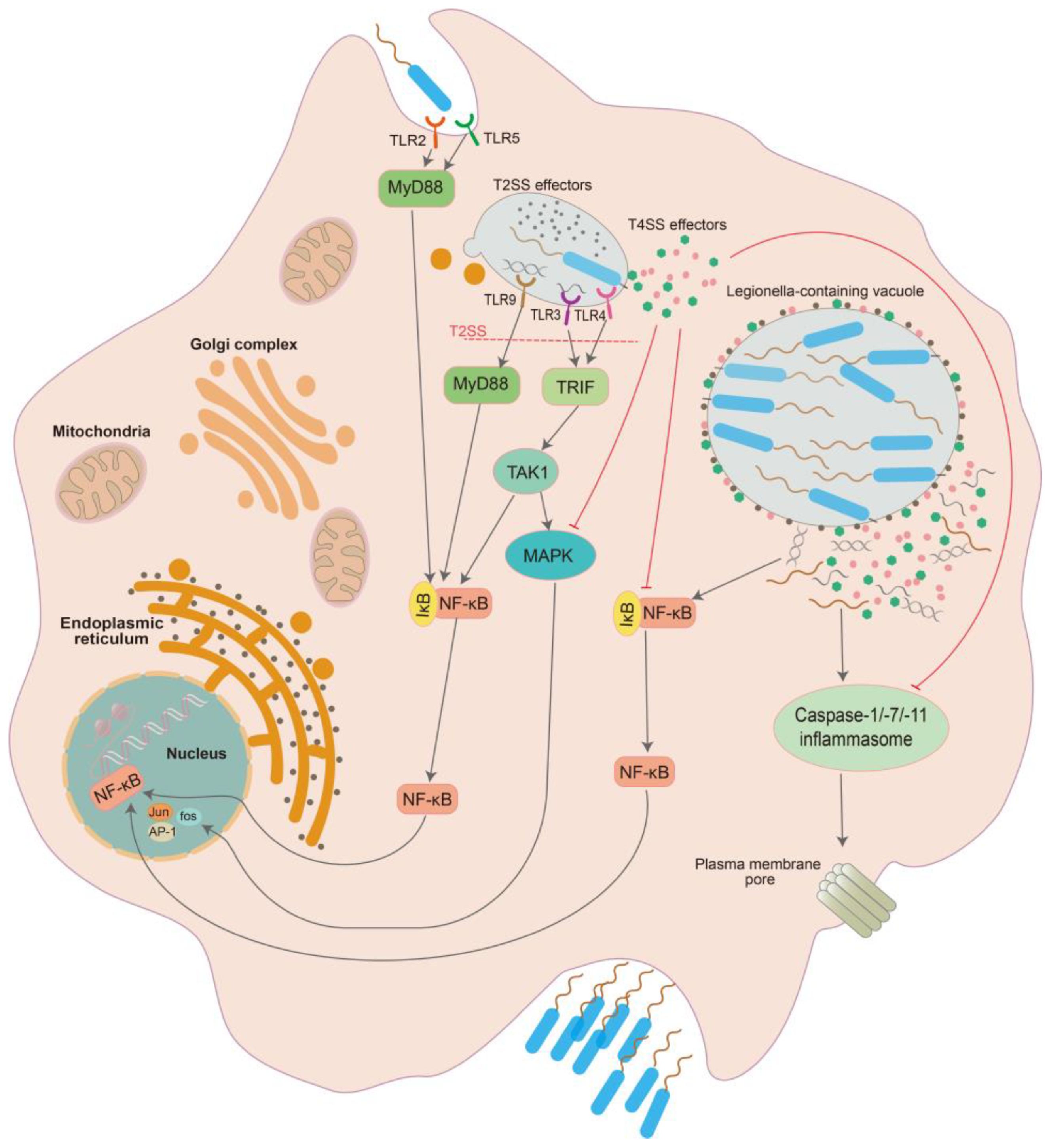 Microorganisms 11 00074 g001 Microorganisms 11 00074 g001