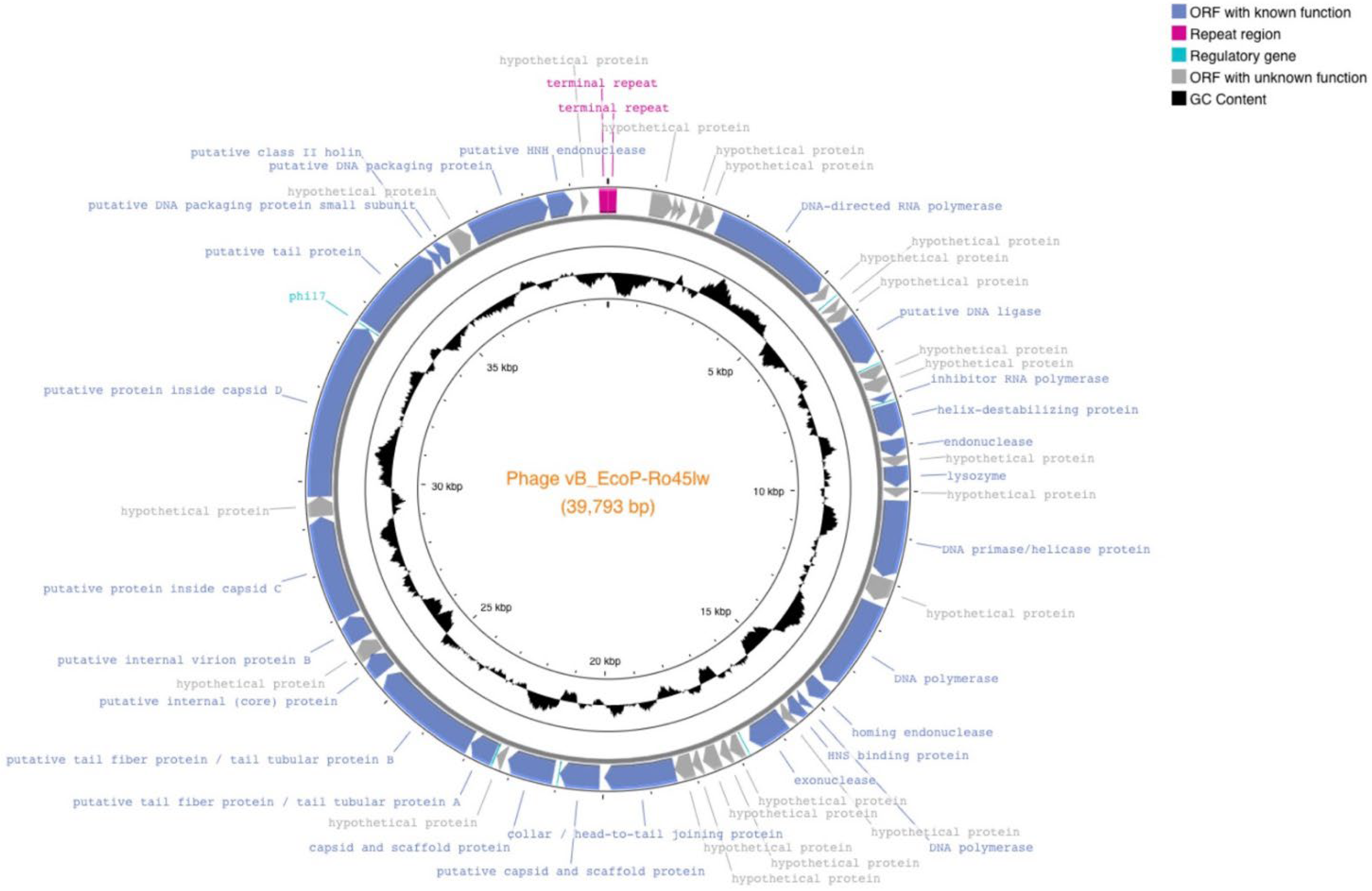 Microorganisms 11 00077 g001