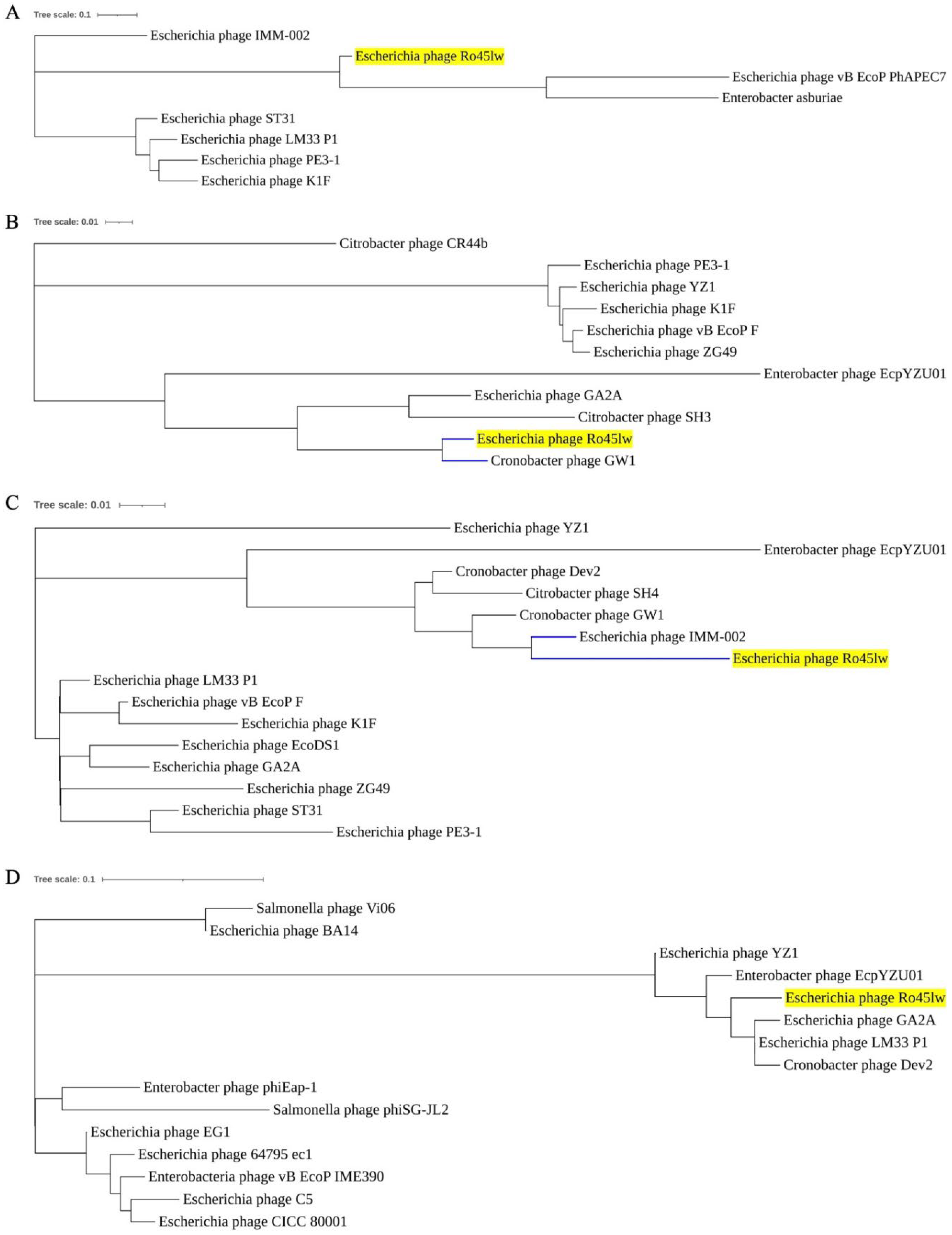 Microorganisms 11 00077 g003