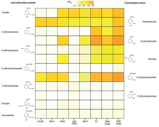 Microorganisms 11 00078 g004