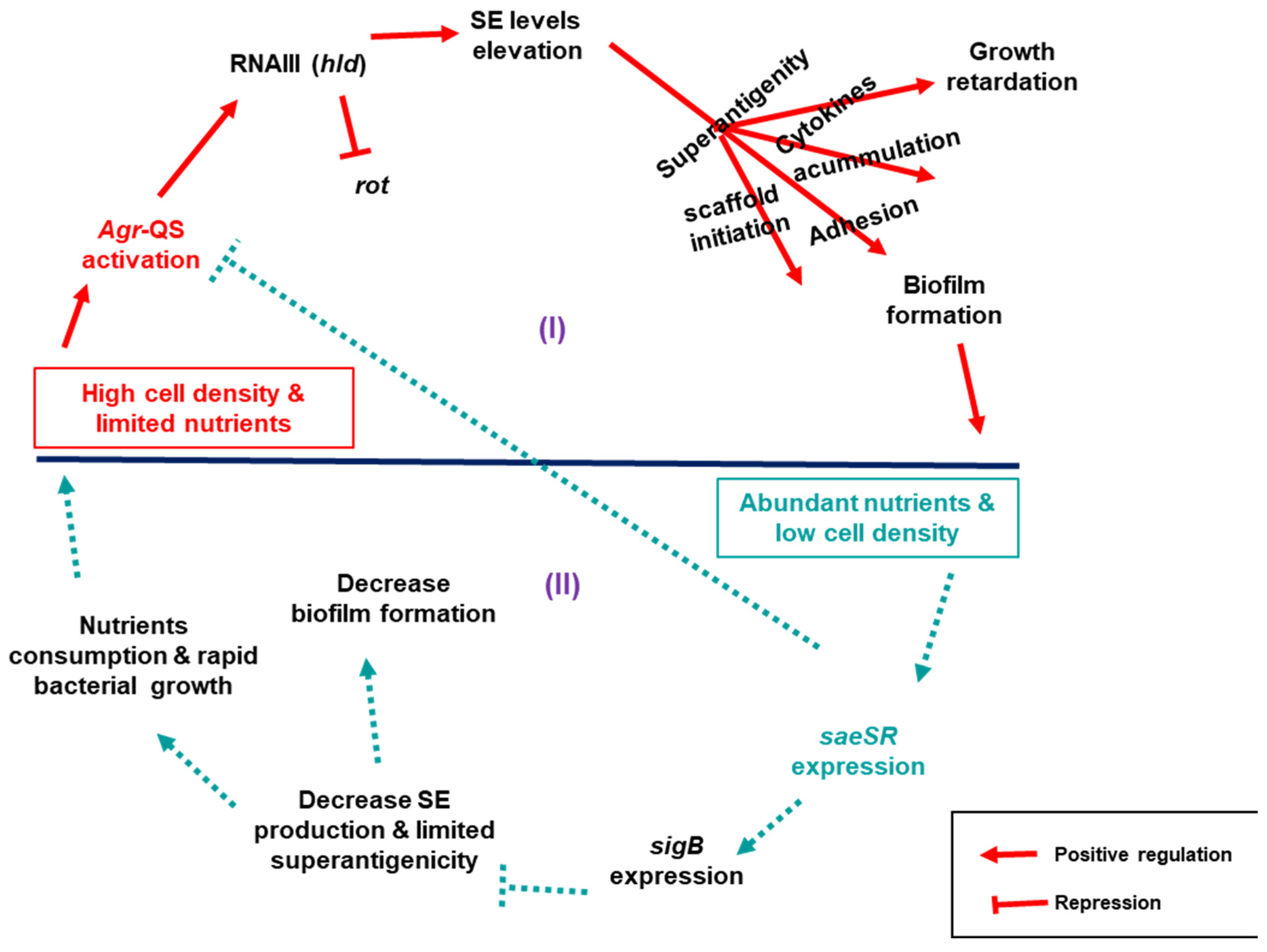 Microorganisms 11 00089 g007