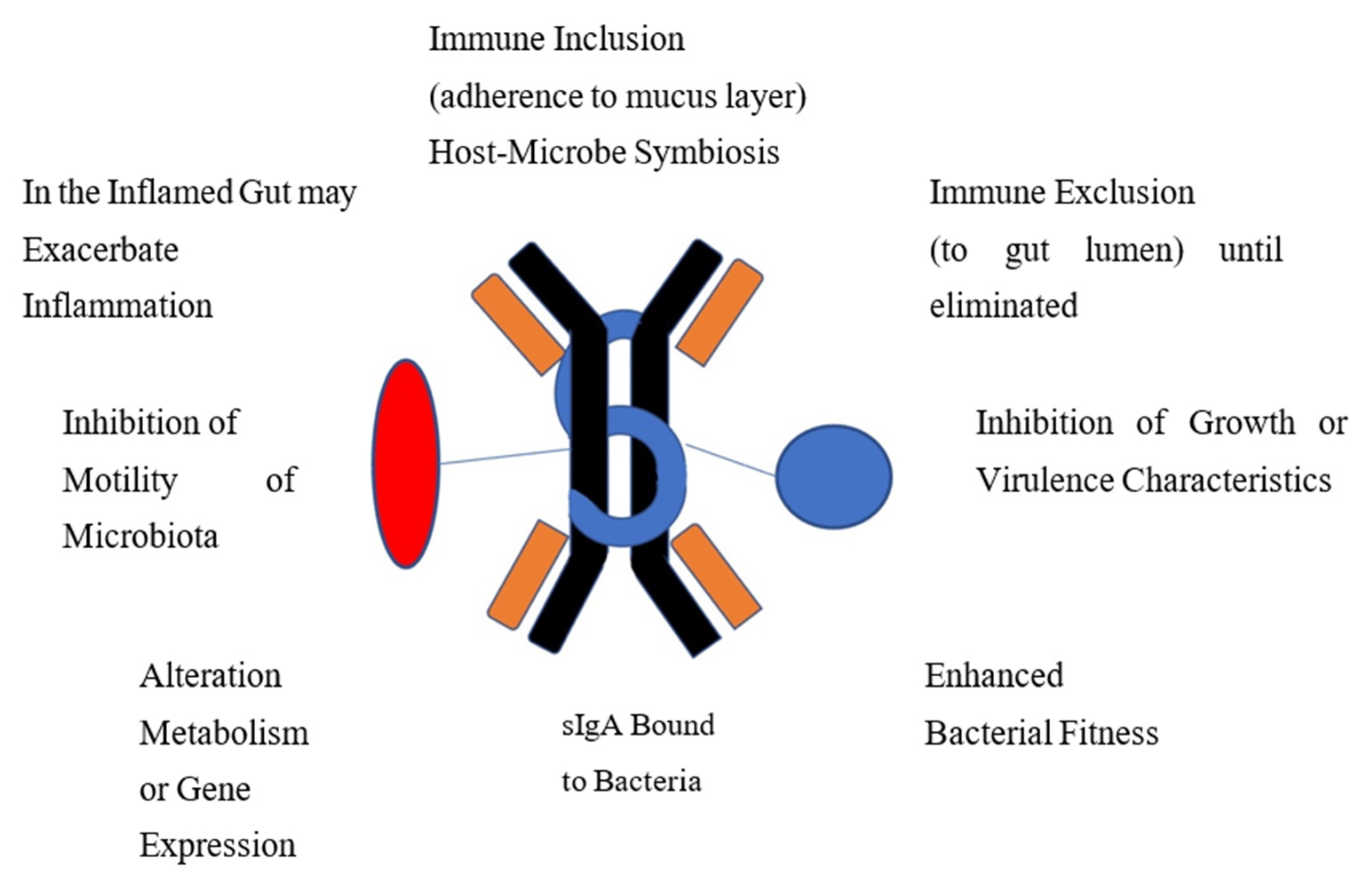 Microorganisms 11 00093 g001 Microorganisms 11 00093 g001