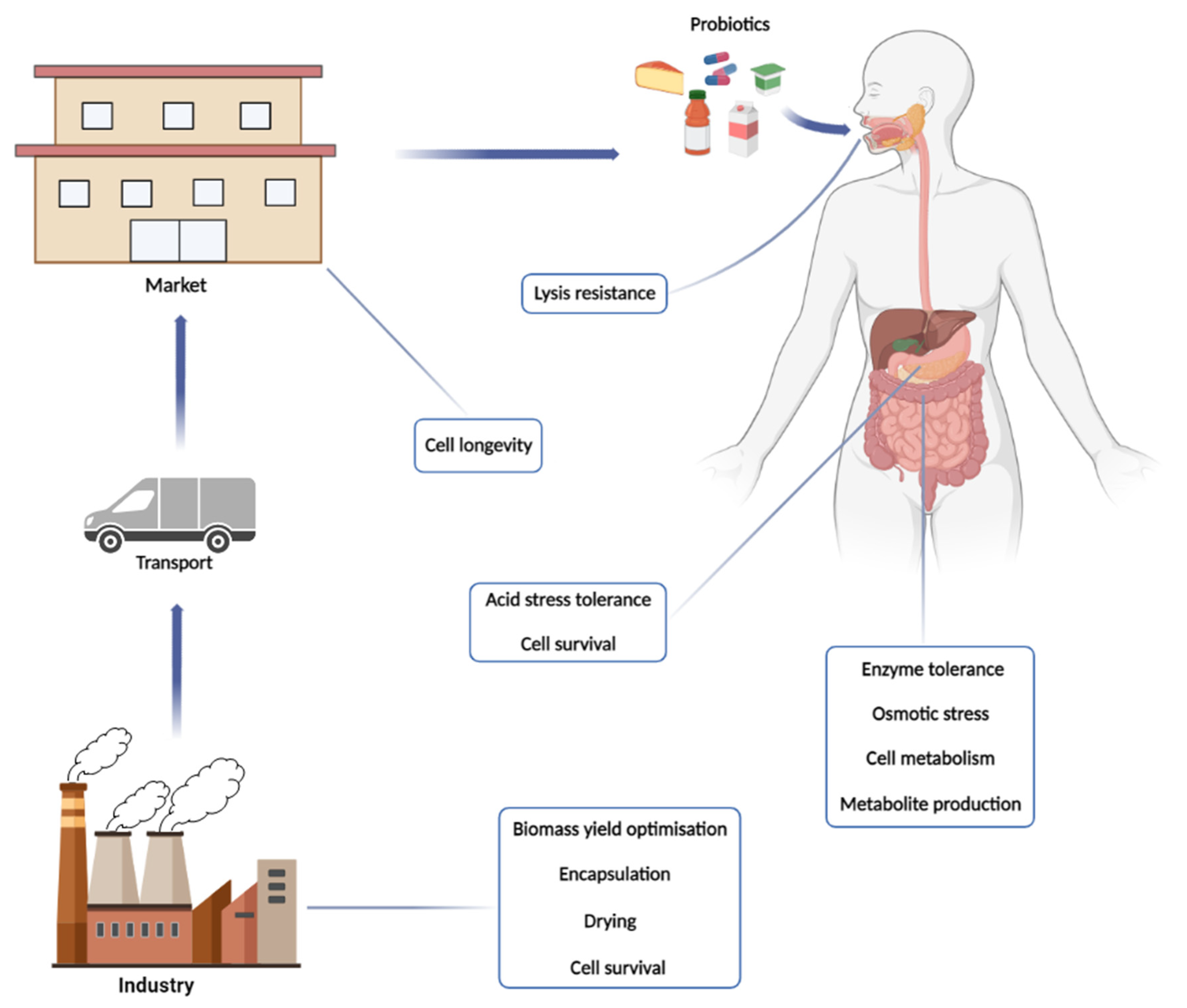 Microorganisms 11 00095 g001