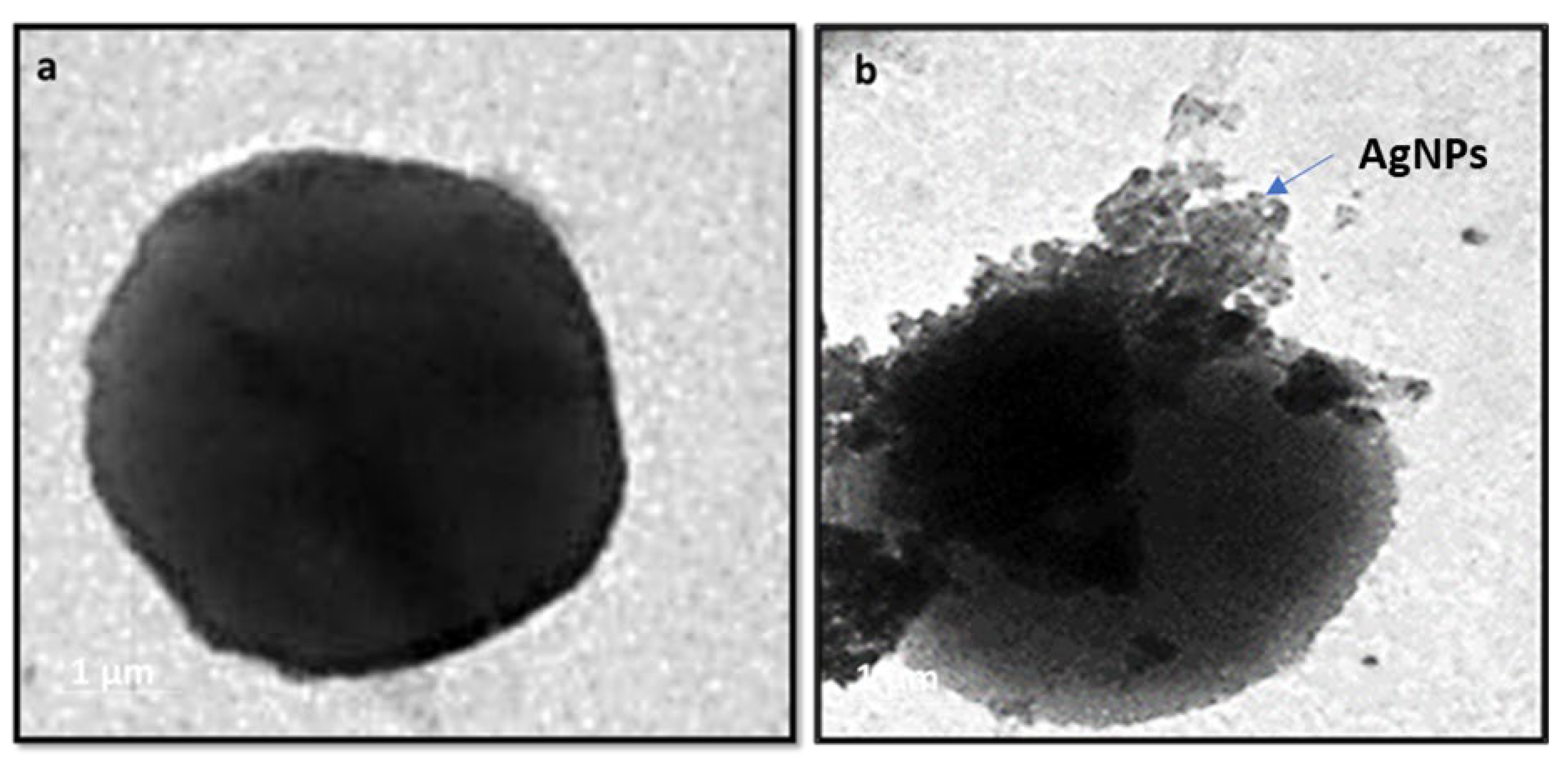 Microorganisms 11 00102 g005 Microorganisms 11 00102 g005