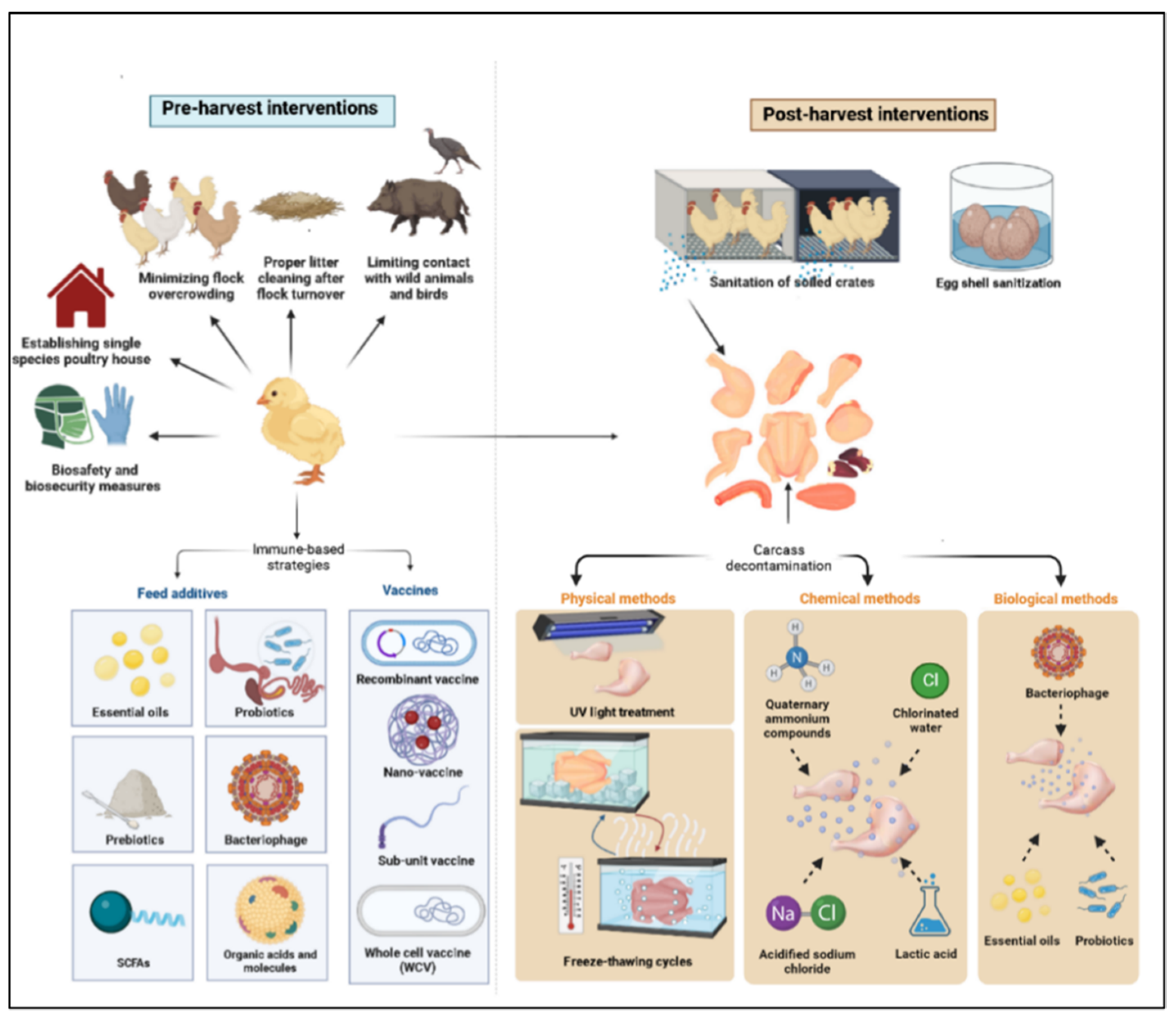 Microorganisms 11 00113 g001