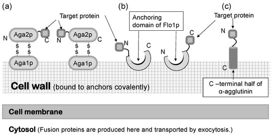 Microorganisms 11 00125 g001