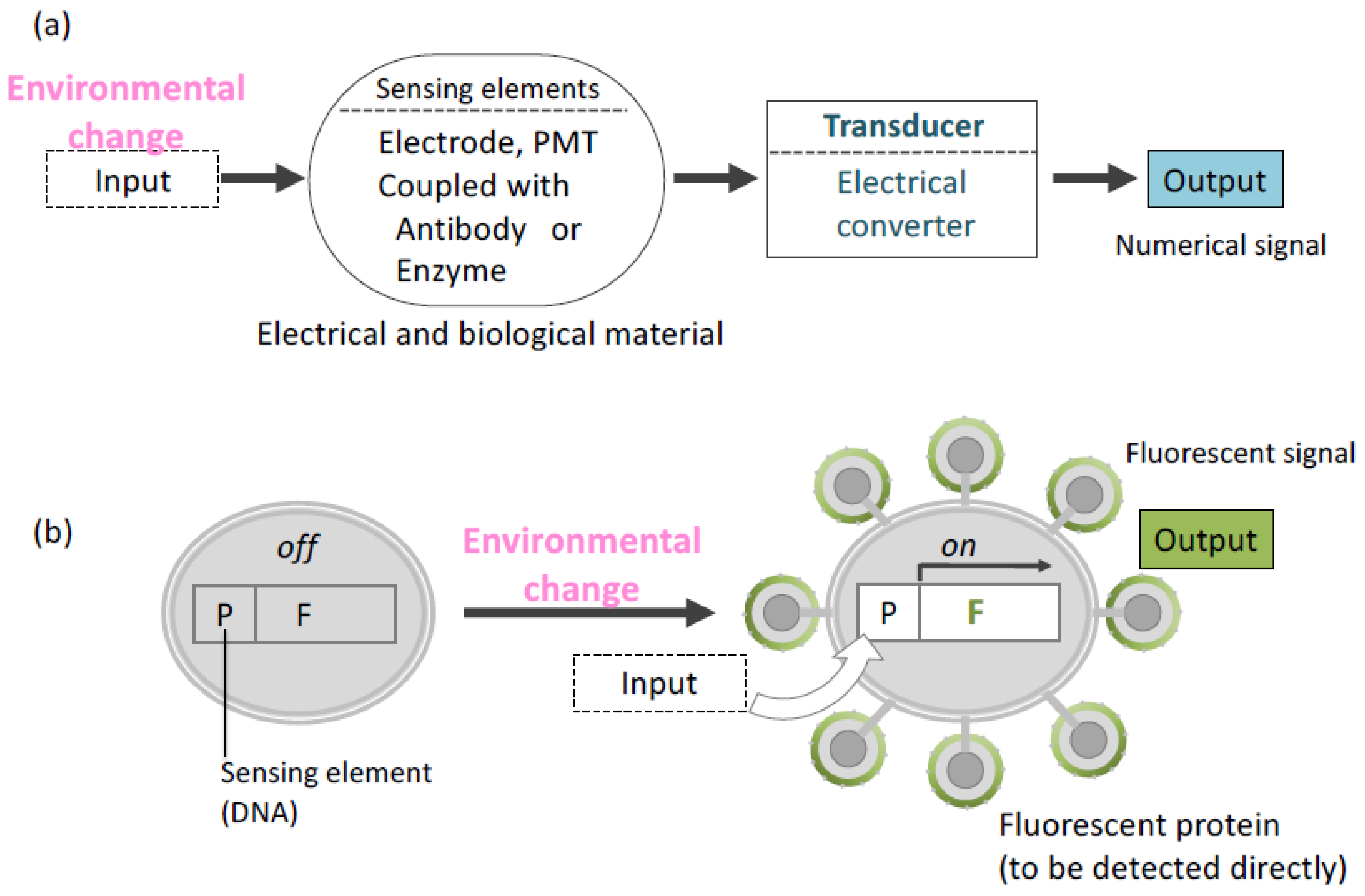 Microorganisms 11 00125 g004