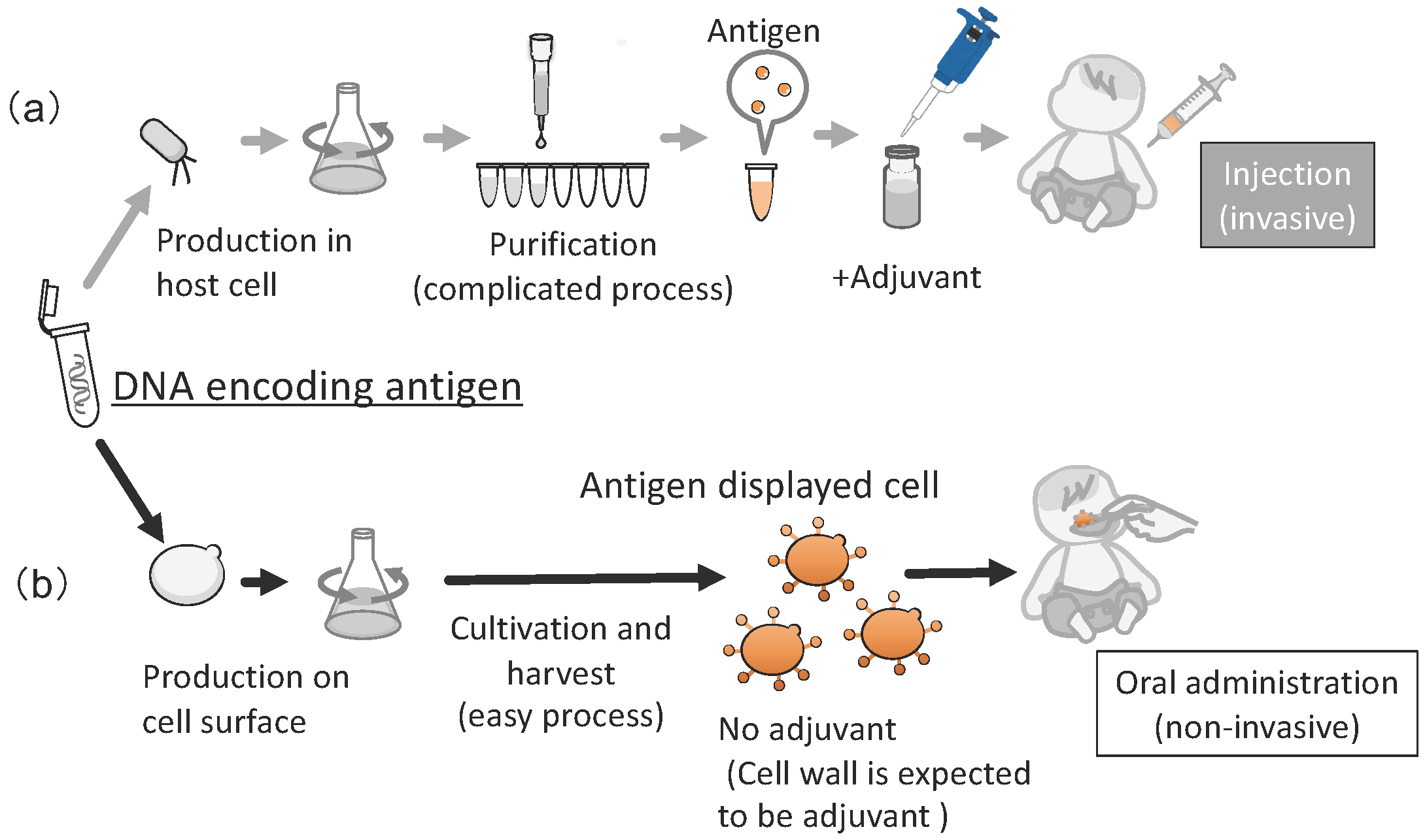 Microorganisms 11 00125 g007