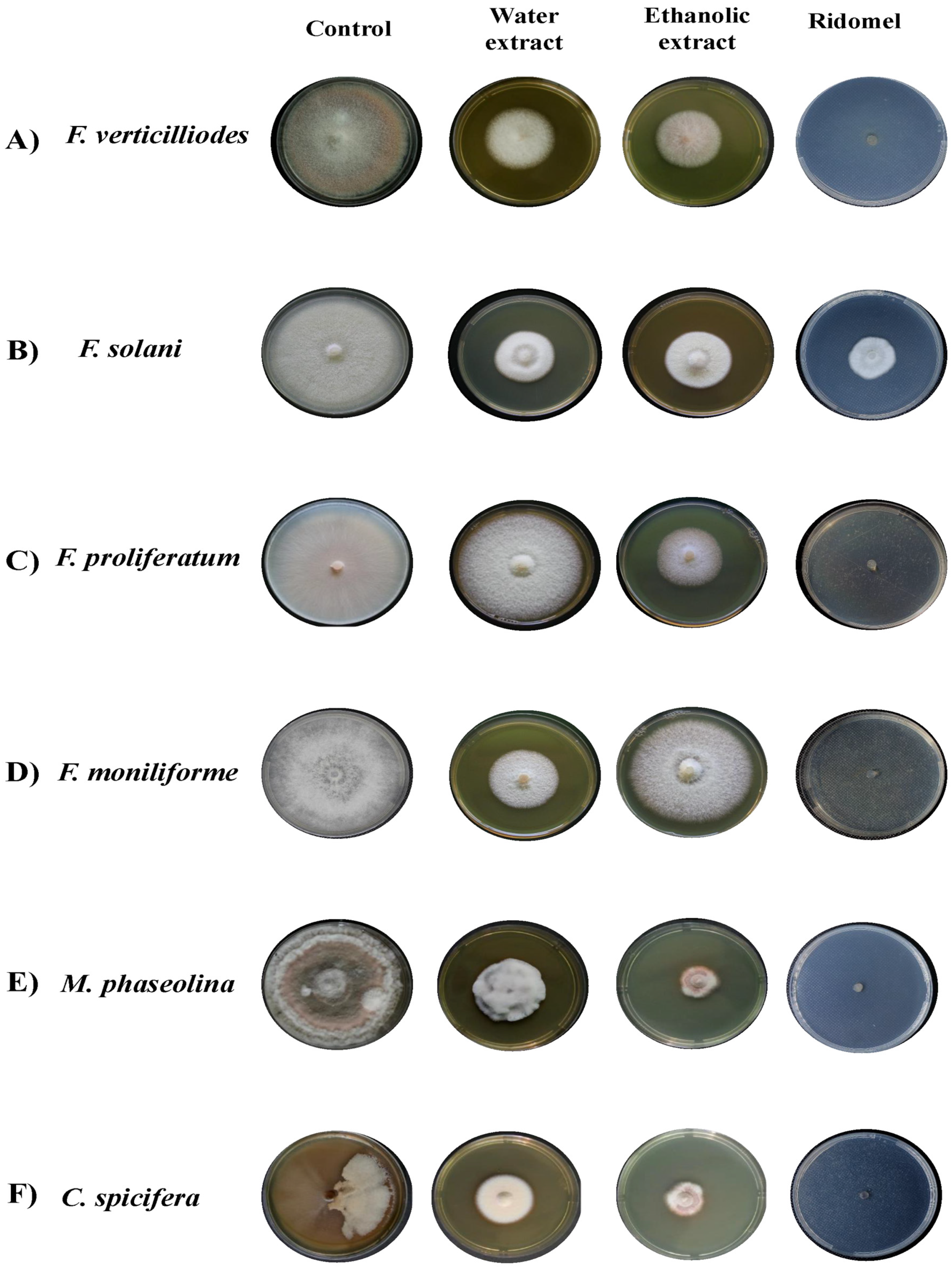 Microorganisms 11 00127 g001