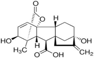 Microorganisms 11 00127 i003 Microorganisms 11 00127 i003