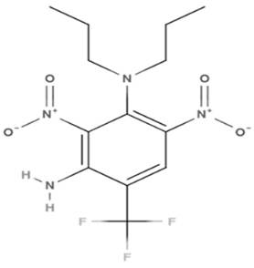 Microorganisms 11 00127 i005 Microorganisms 11 00127 i005