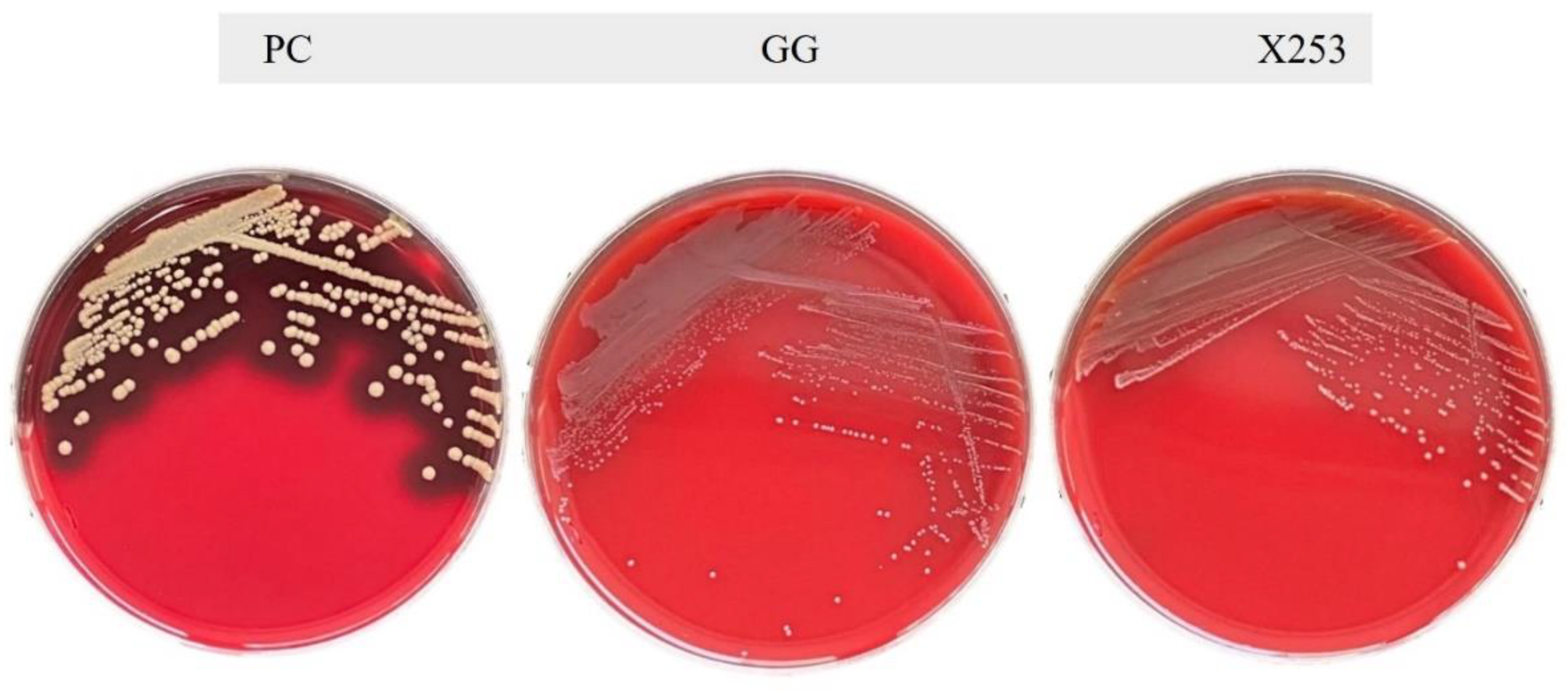 Microorganisms 11 00140 g003 Microorganisms 11 00140 g003
