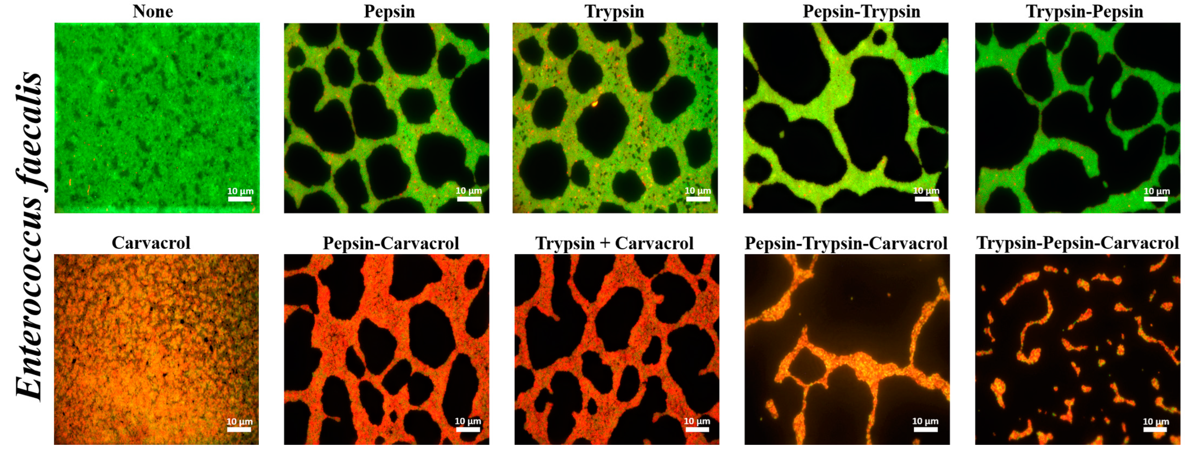 Microorganisms 11 00143 g007