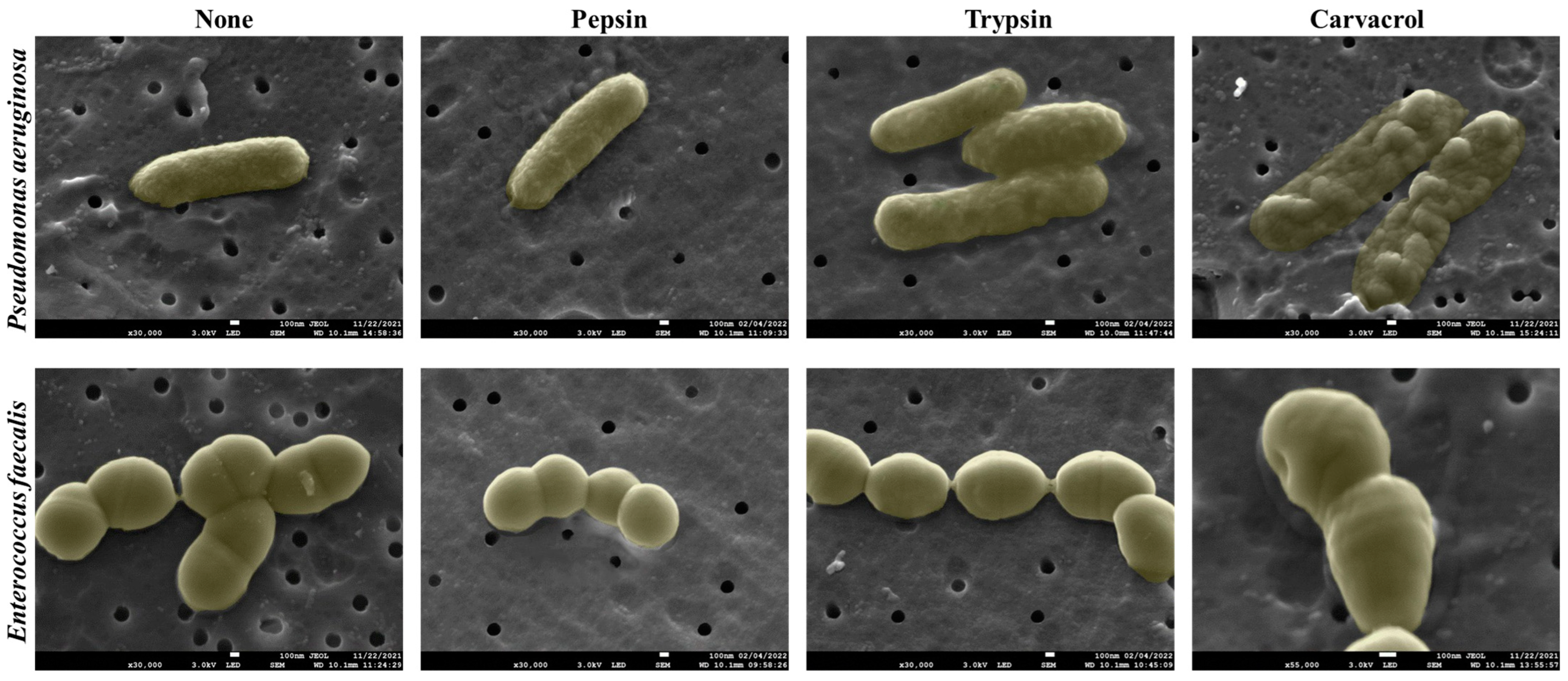 Microorganisms 11 00143 g008