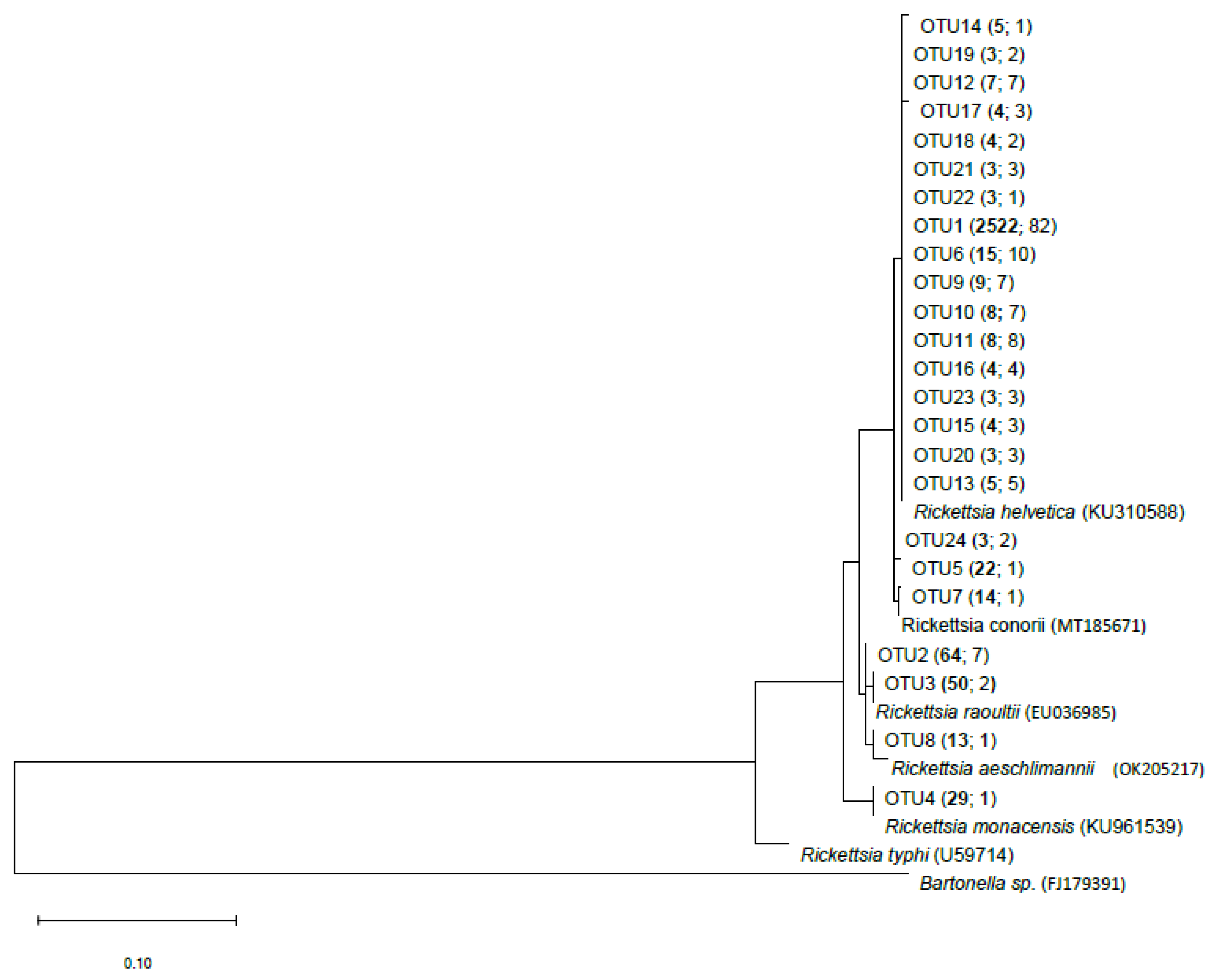 Microorganisms 11 00157 g002