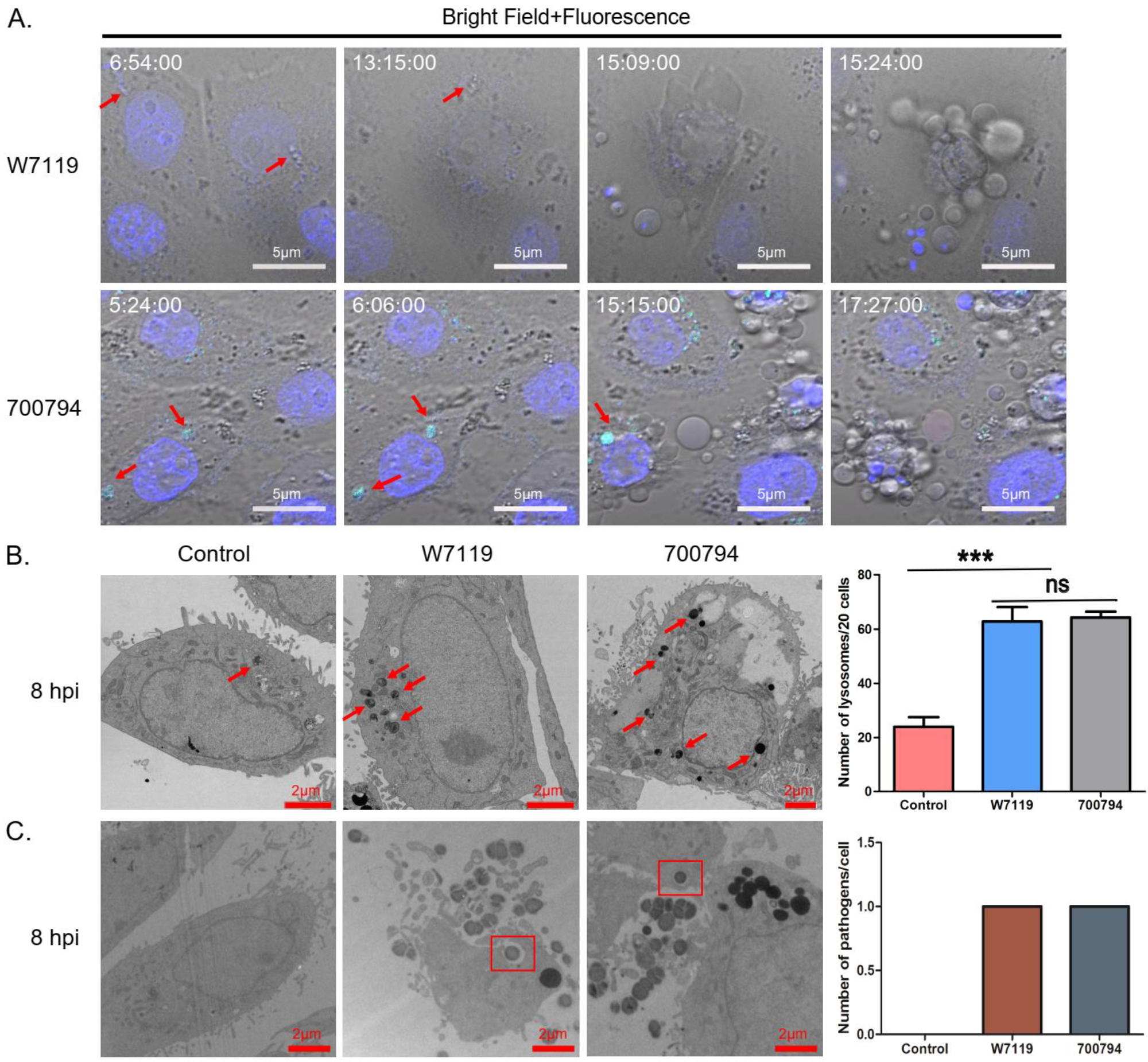 Microorganisms 11 00160 g005 Microorganisms 11 00160 g005