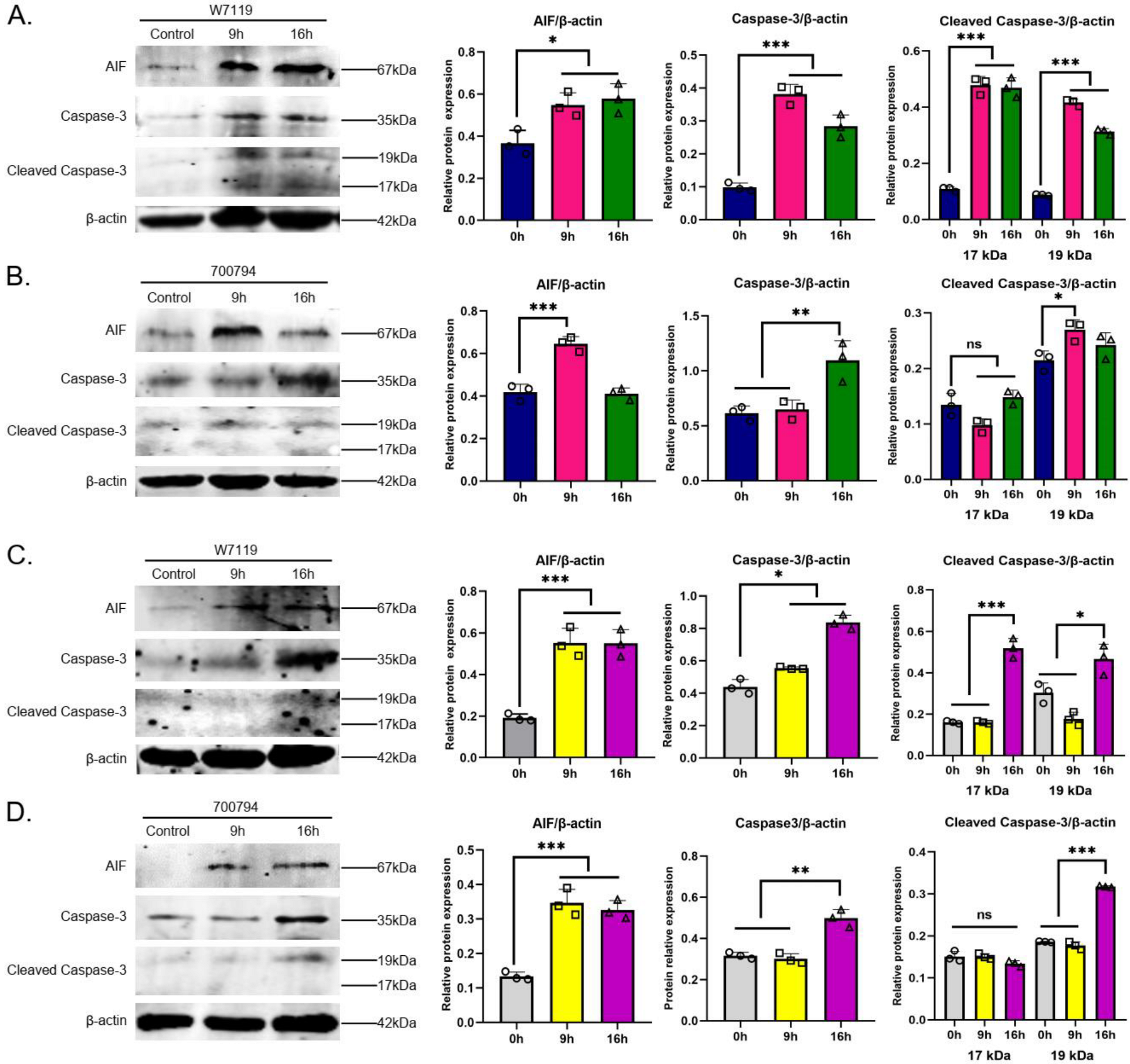Microorganisms 11 00160 g007 Microorganisms 11 00160 g007