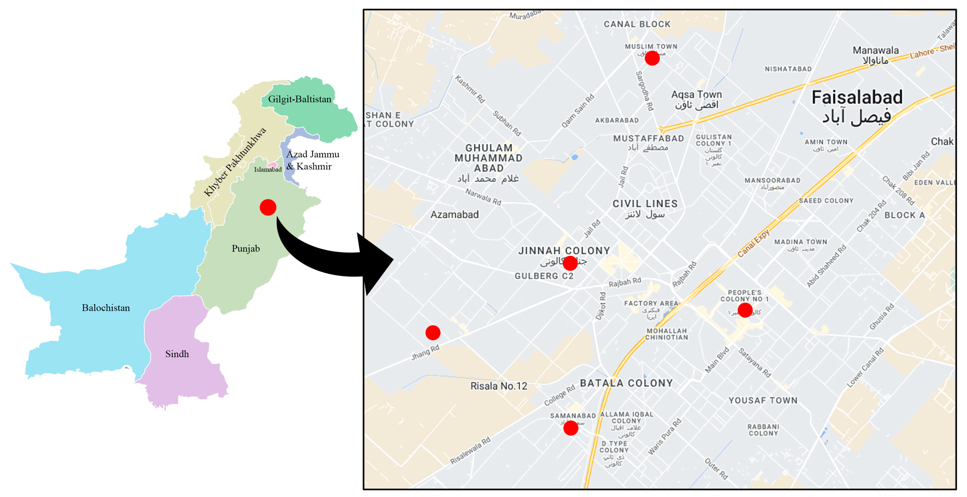 Microorganisms 11 00161 g001