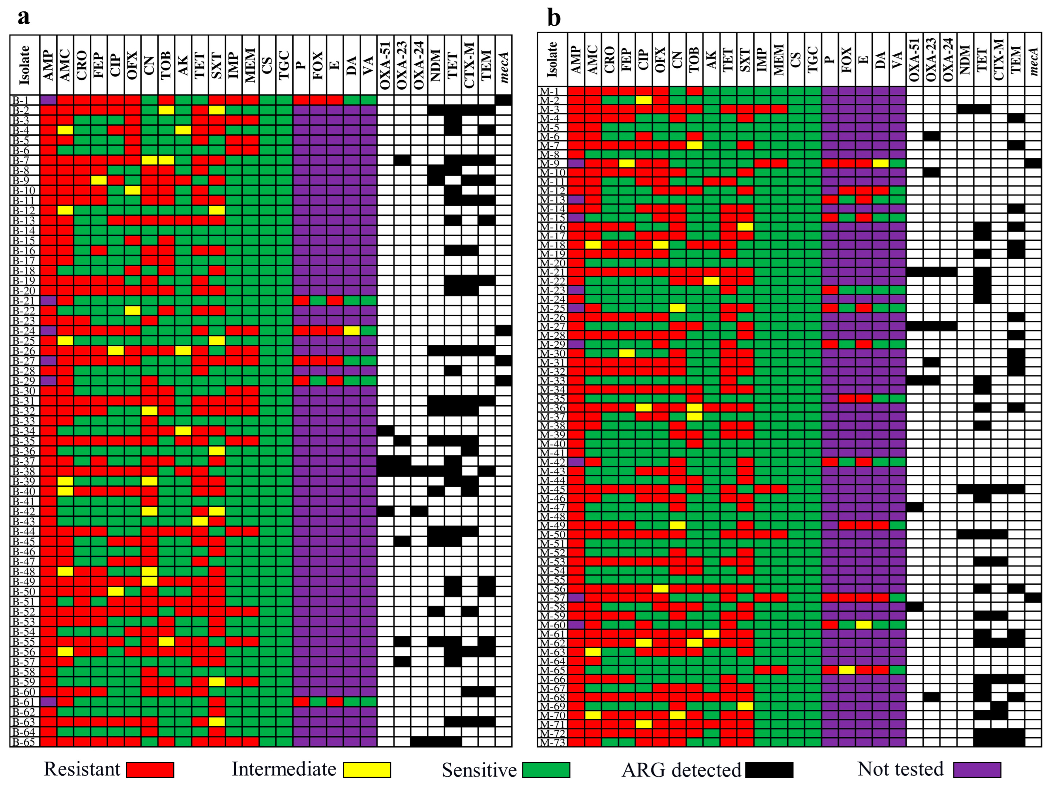 Microorganisms 11 00161 g003