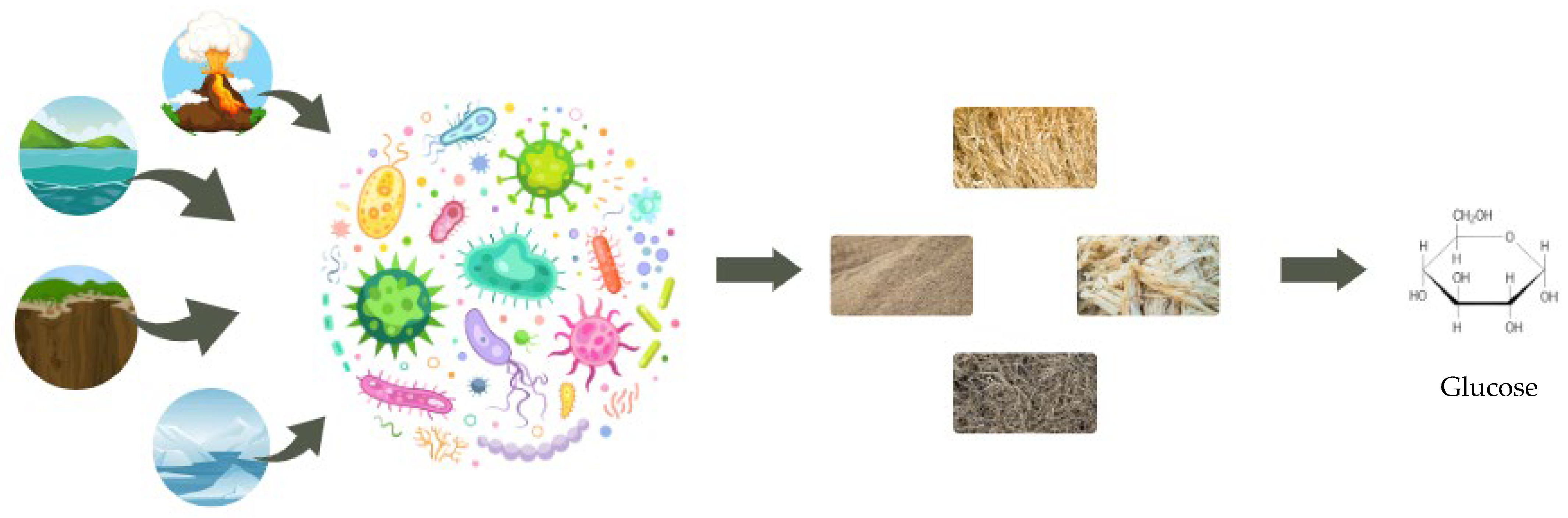 Microorganisms 11 00162 g001 Microorganisms 11 00162 g001